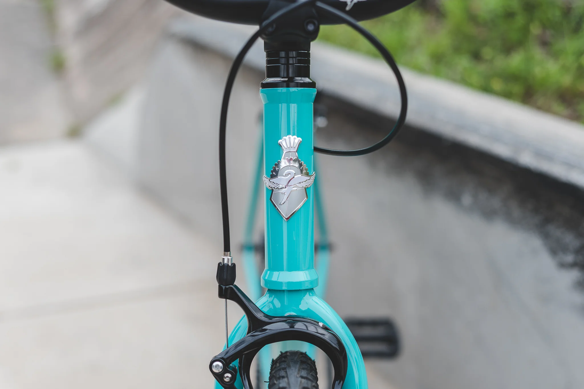 2020 Fairdale Express (Turquoise - S/M, M/L) - Image 9