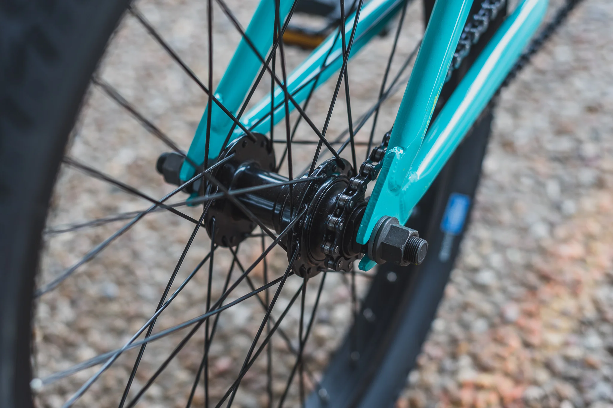 2020 Fairdale Macaroni (Turquoise - 20") - Image 15
