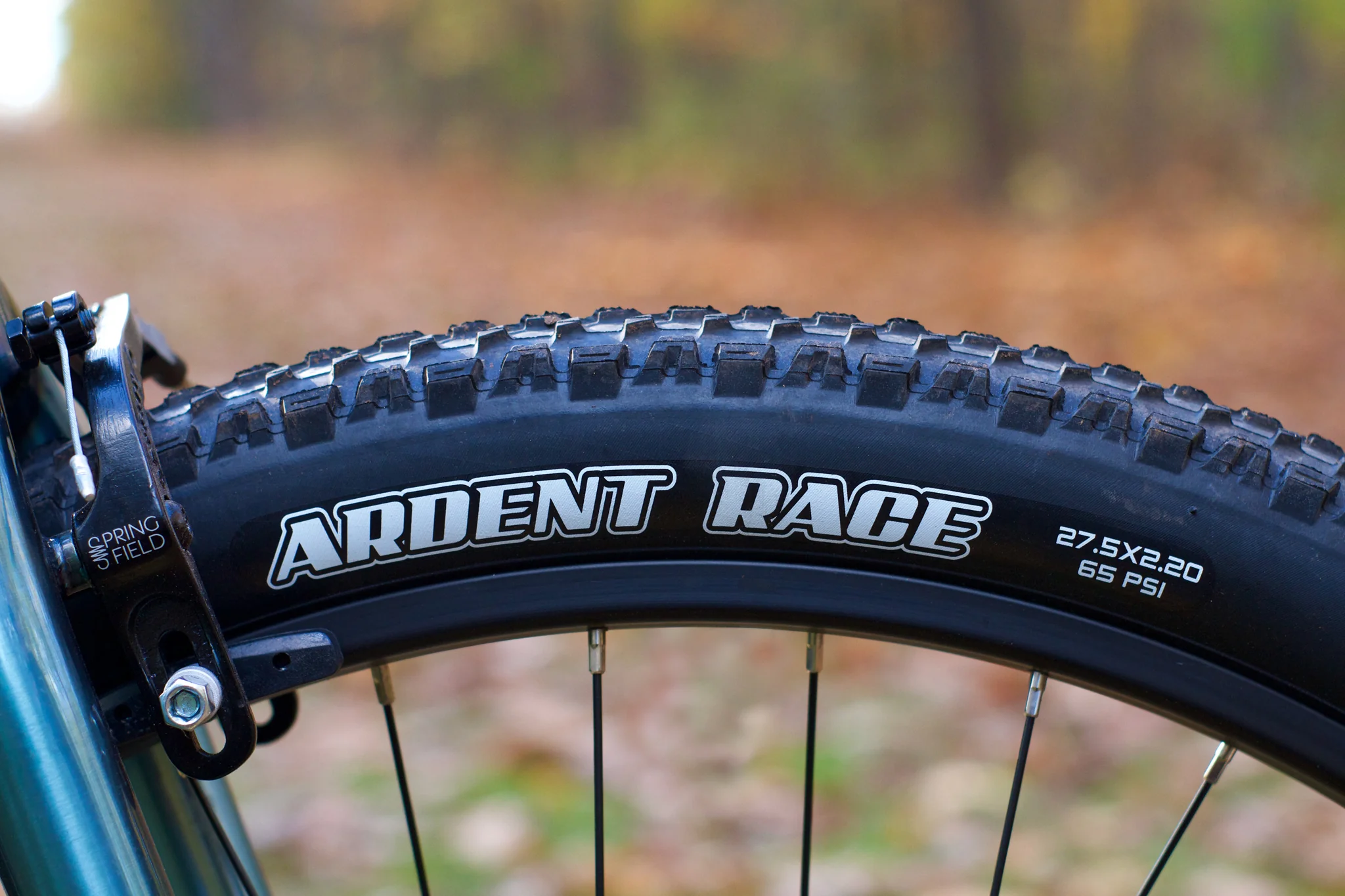 Fairdale Taj 27.5" (Translucent Winter Blue) - Image 8