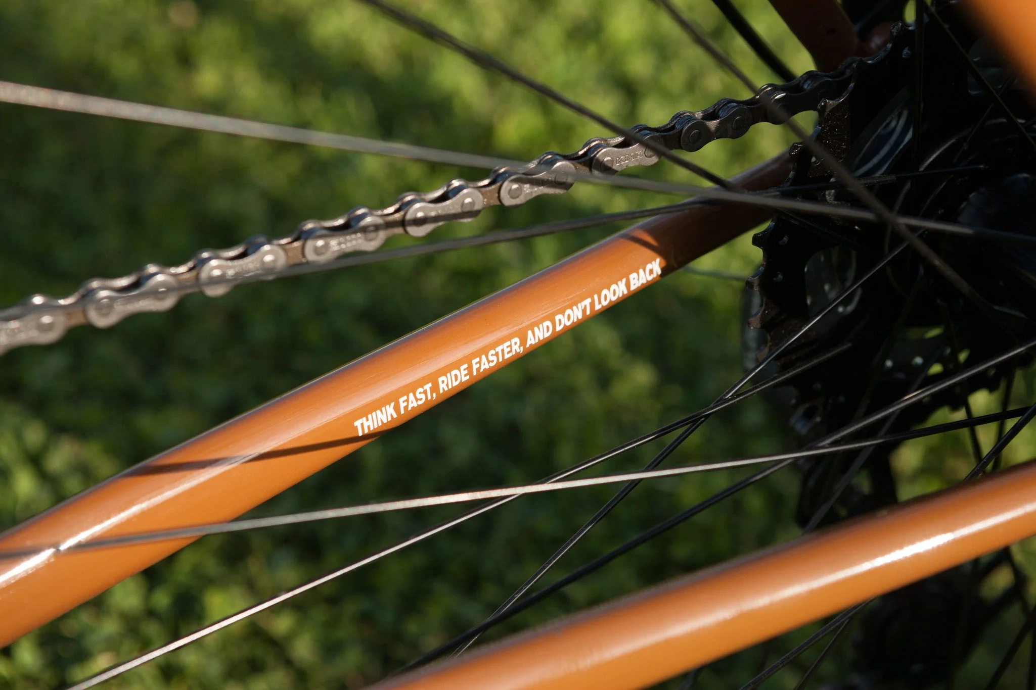 Fairdale x Toy Machine Lookfar  (Limited Edition Gloss Brown in S-L) - Image 14