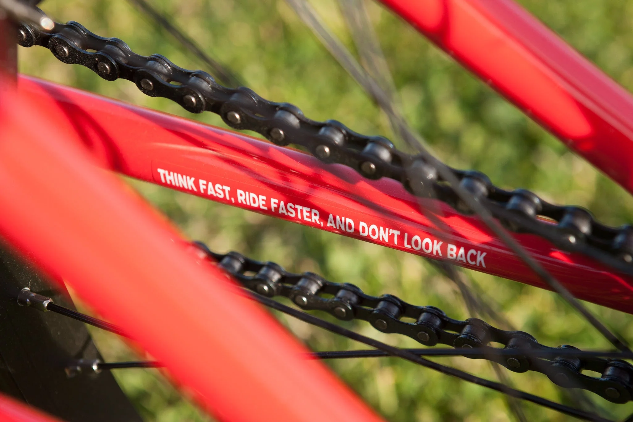 Fairdale x Toy Machine Macaroni 20" (Limited Edition Gloss Red) - Image 14