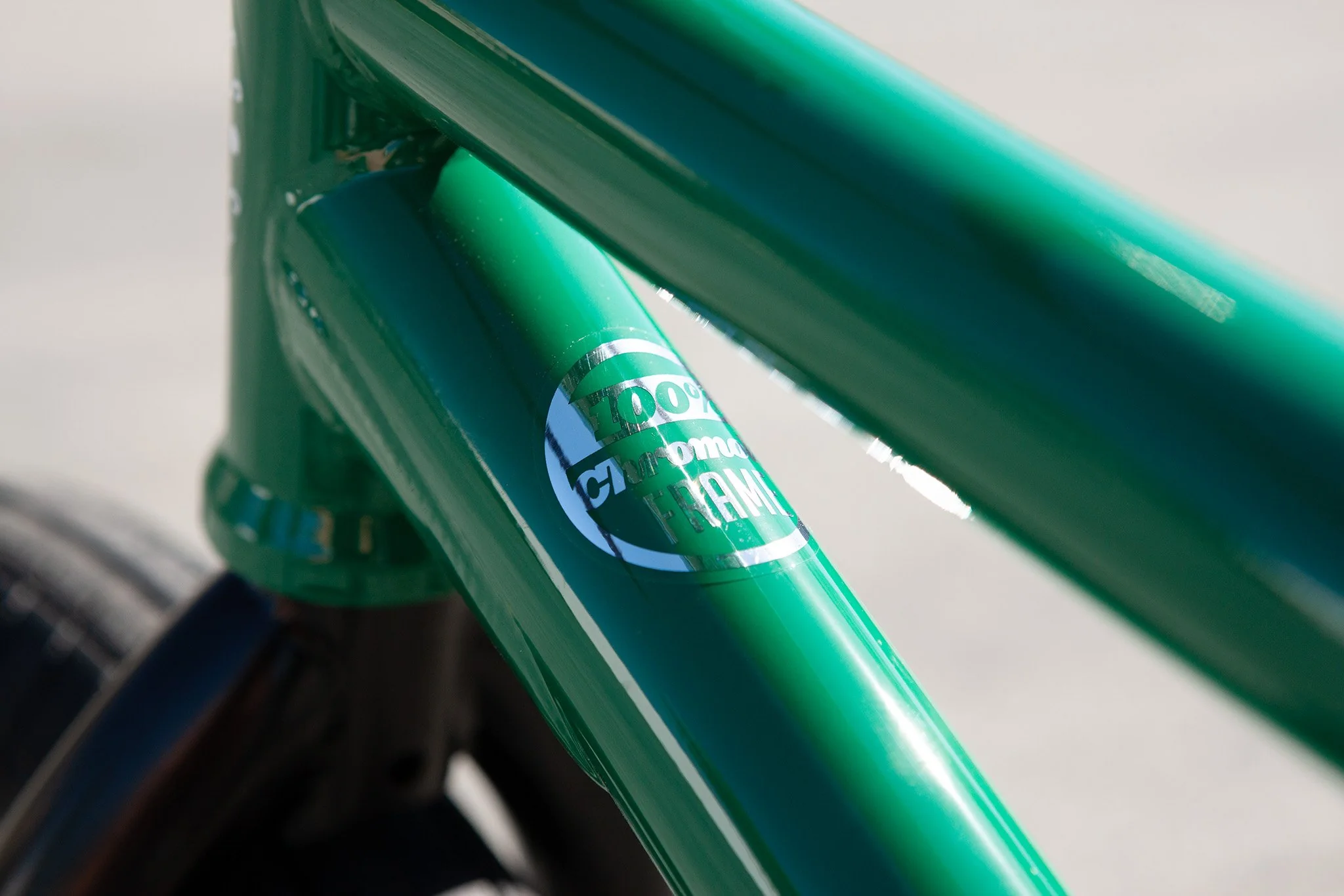 Sunday Forecaster - Alec Siemon Signature (Gloss Hunter Green with 20.75" tt) - Image 8