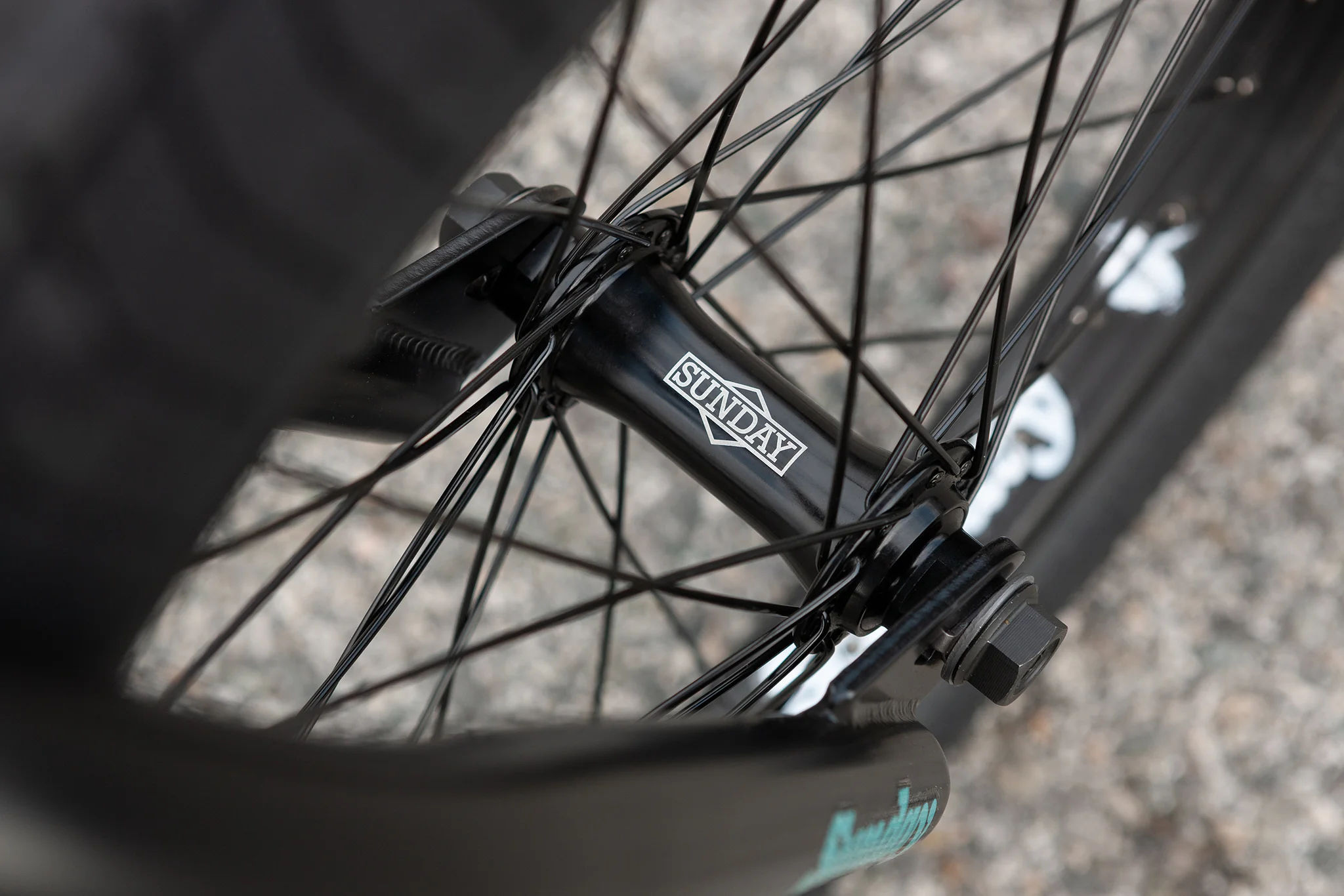 Sunday Forecaster - Brett Silva Signature (Gloss Black with 20.75" tt) - Image 12