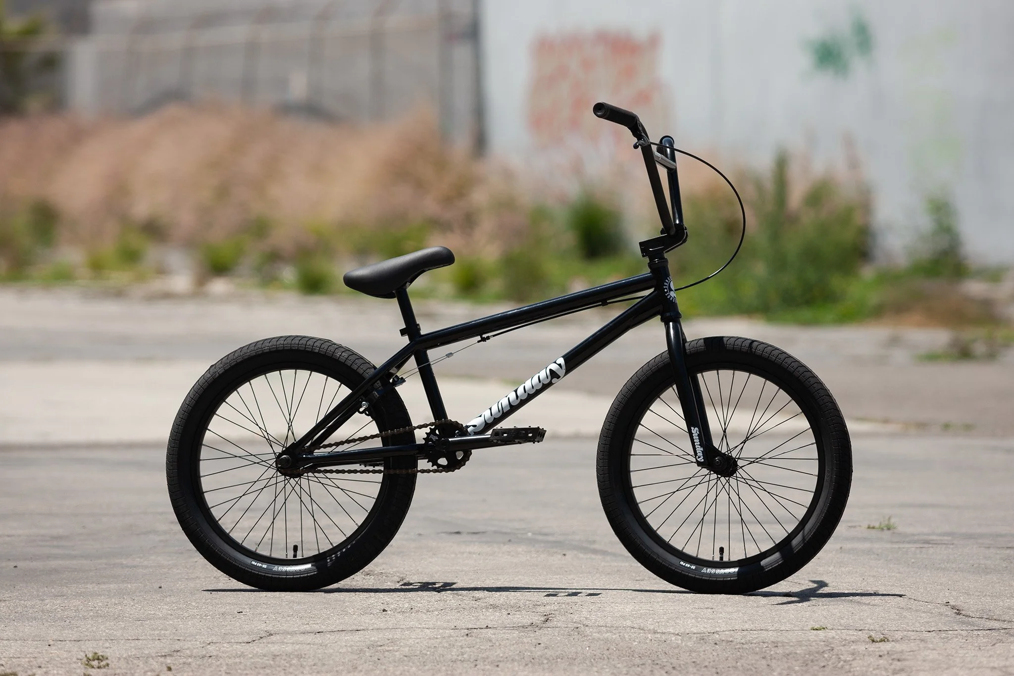 Sunday Scout (Gloss Black with 20.75" tt) - Image 2