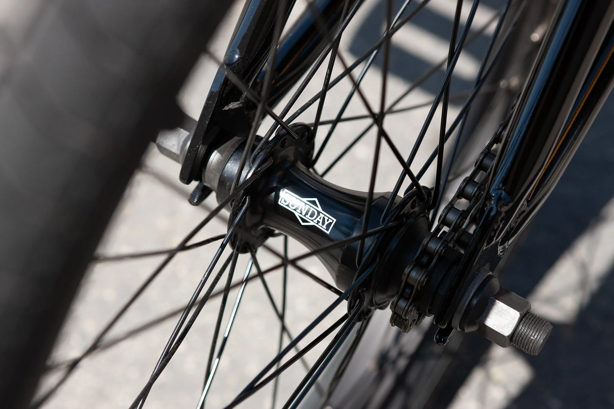 Sunday Scout (Gloss Black with 20.75" tt) - Image 8