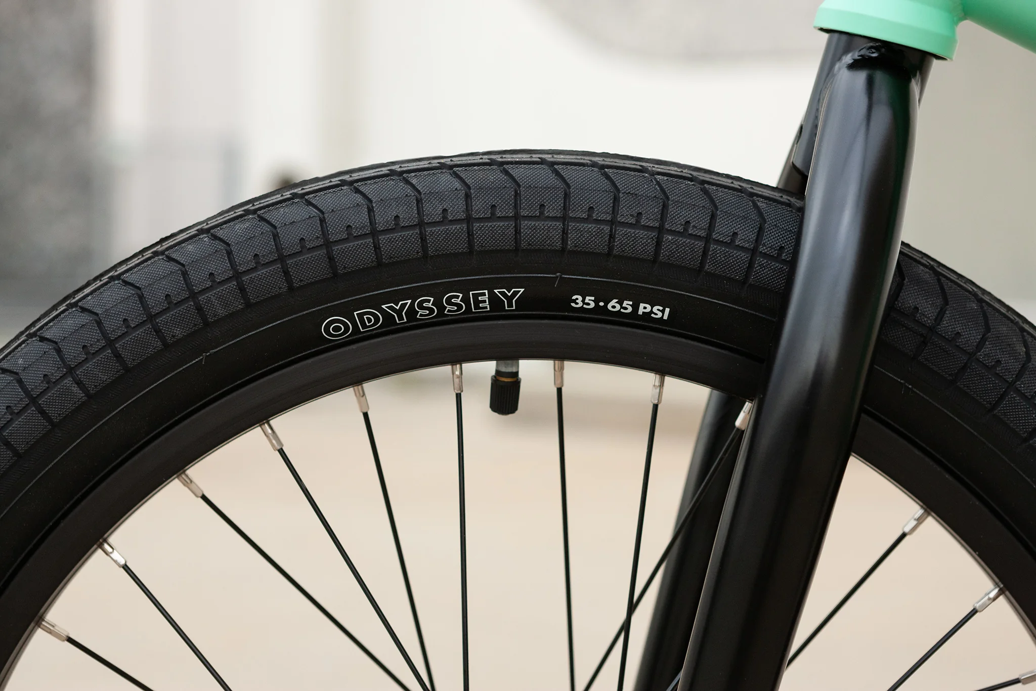 Sunday Scout (Matte Toothpaste with 21" tt) - Image 10
