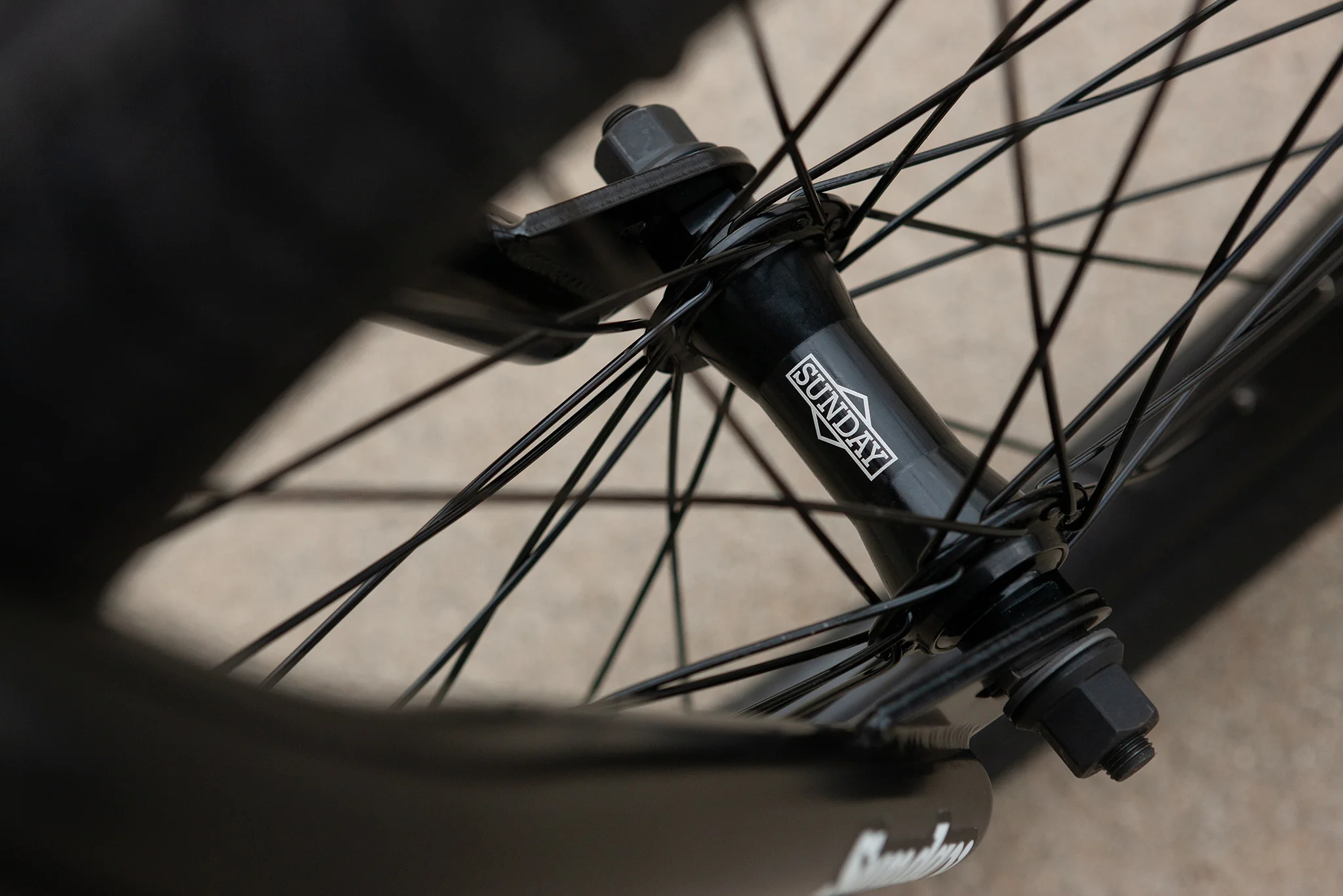 Sunday Scout (Matte Toothpaste with 21" tt) - Image 11