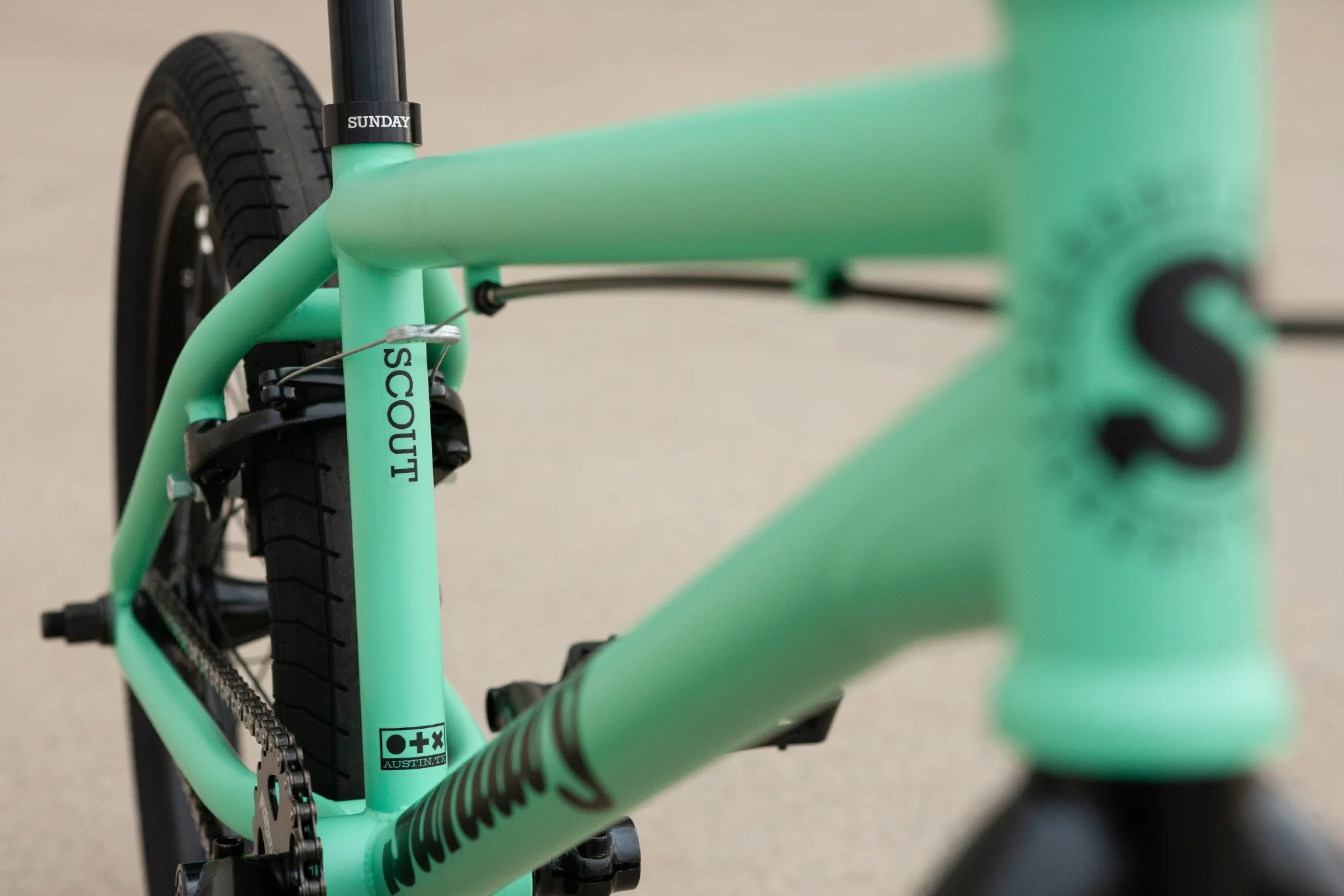 Sunday Scout (Matte Toothpaste with 21" tt) - Image 13