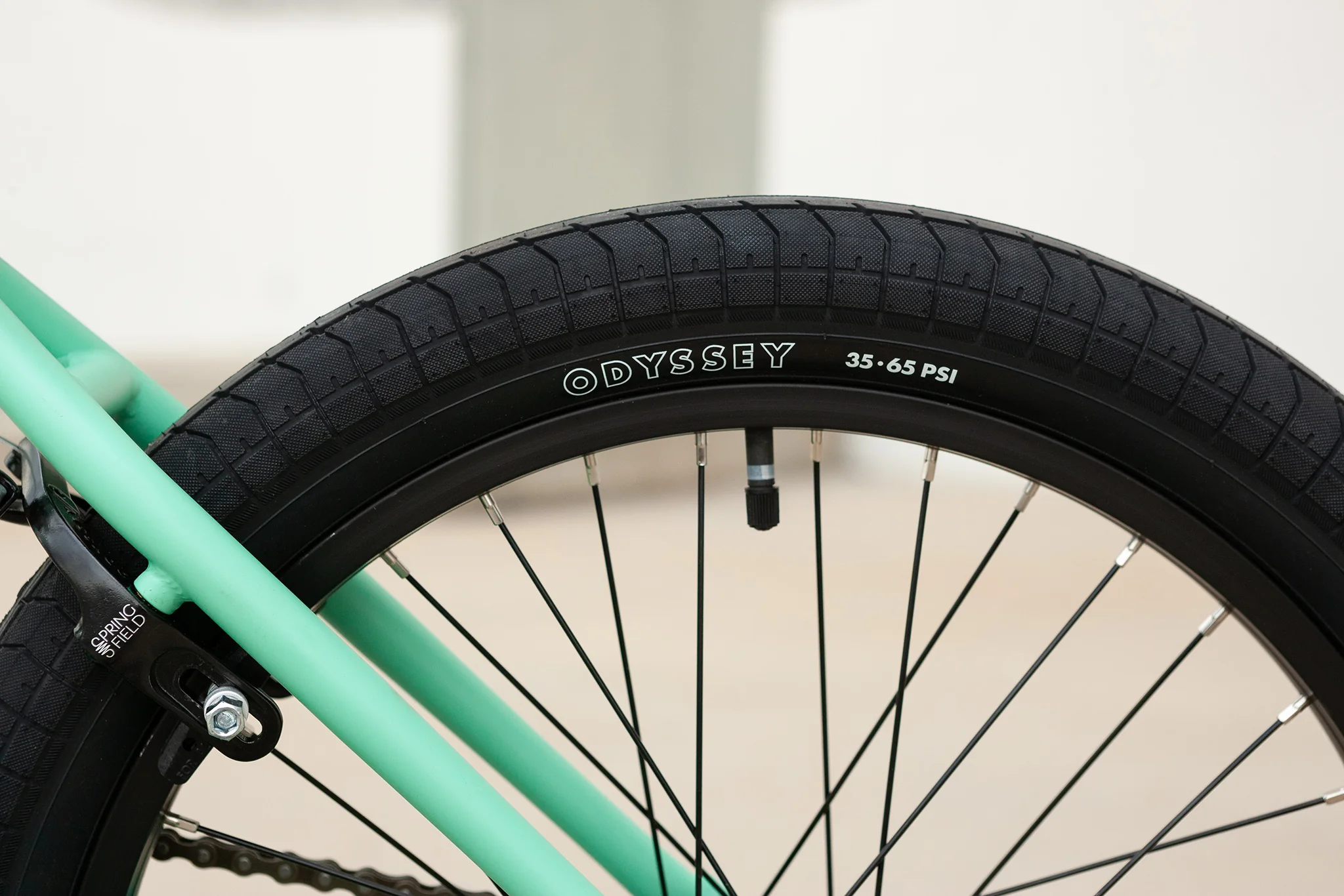 Sunday Scout (Matte Toothpaste with 21" tt) - Image 14