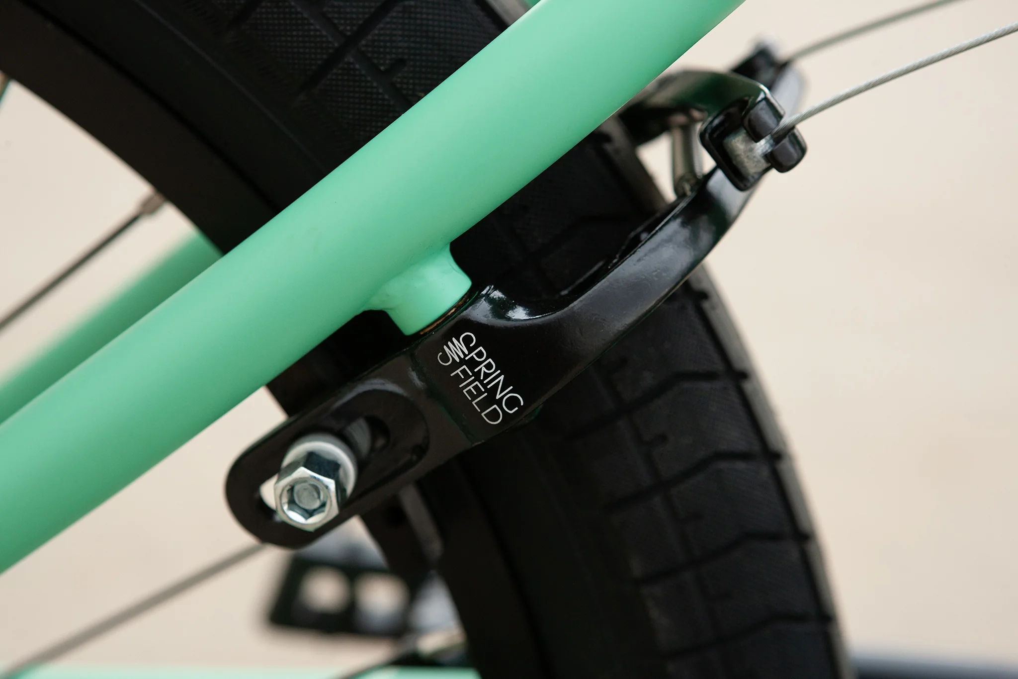 Sunday Scout (Matte Toothpaste with 21" tt) - Image 15