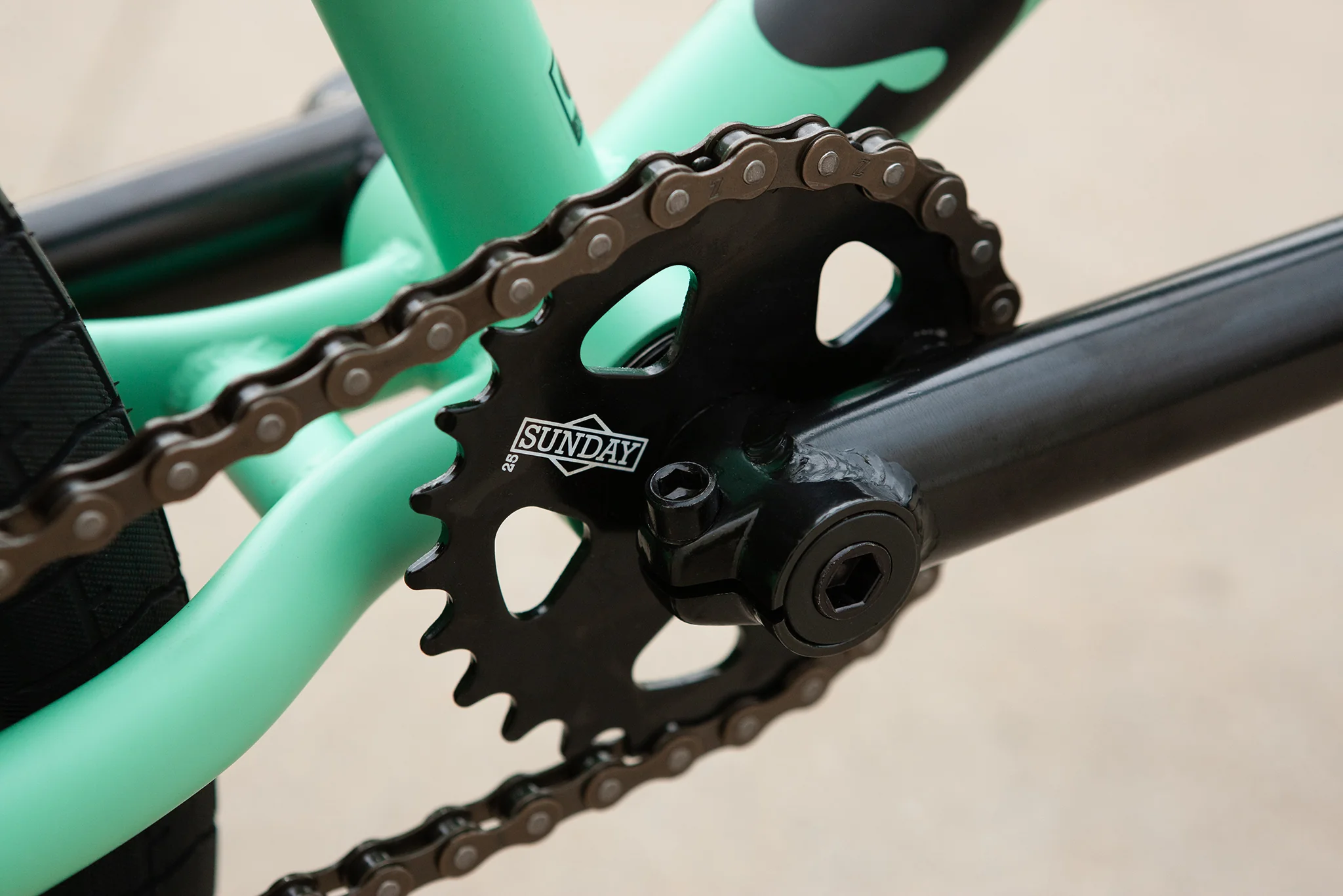 Sunday Scout (Matte Toothpaste with 21" tt) - Image 16