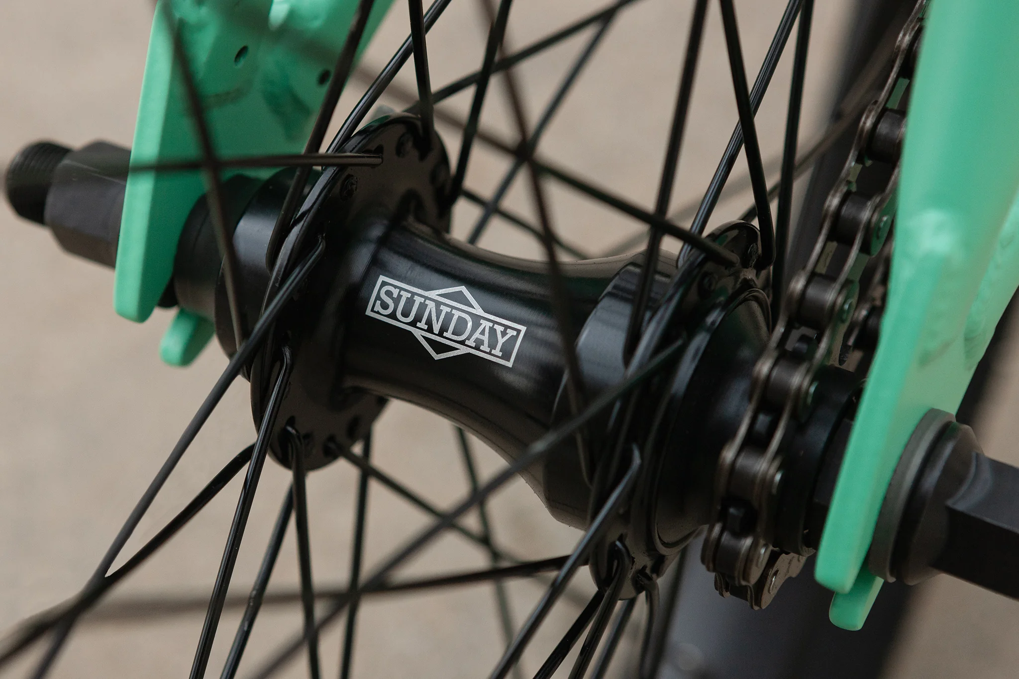 Sunday Scout (Matte Toothpaste with 21" tt) - Image 18