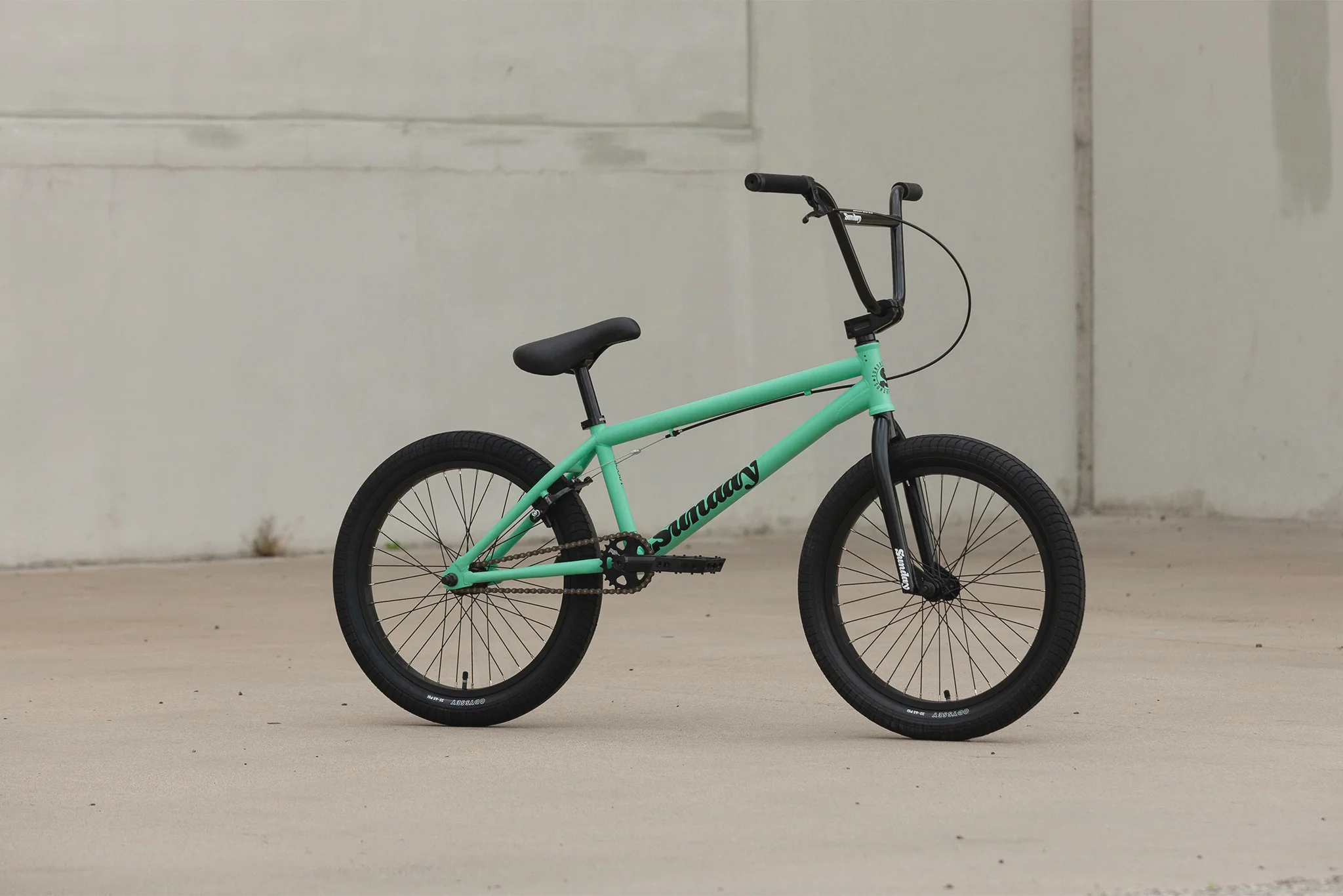 Sunday Scout (Matte Toothpaste with 21" tt) - Image 19