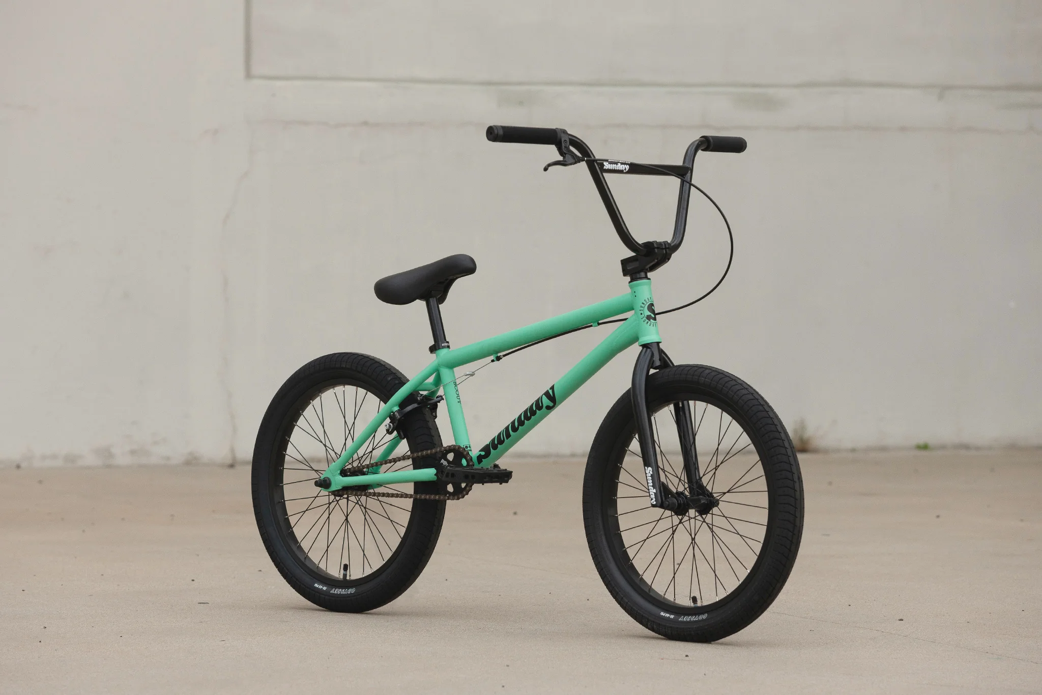 Sunday Scout (Matte Toothpaste with 21" tt) - Image 2