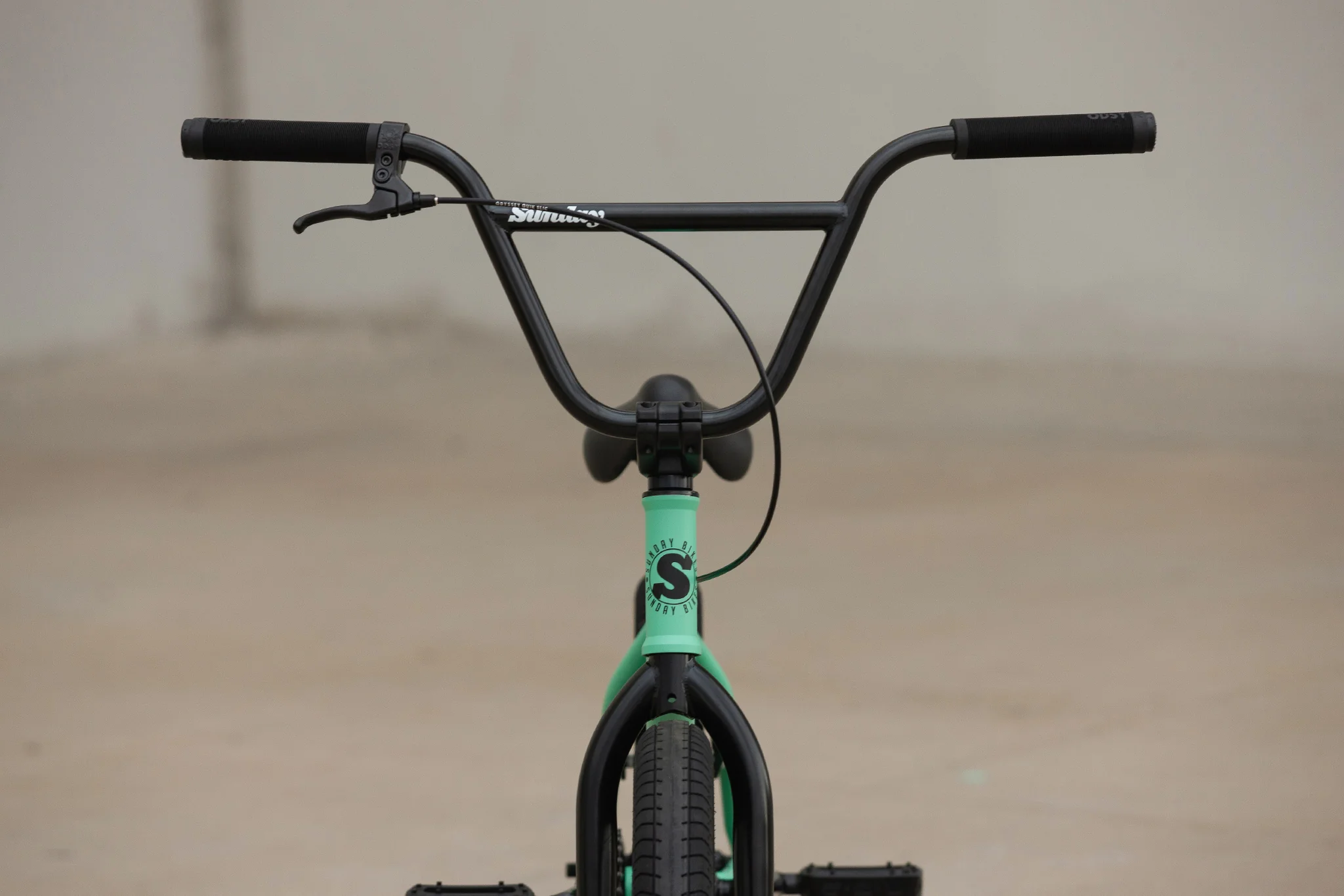 Sunday Scout (Matte Toothpaste with 21" tt) - Image 3