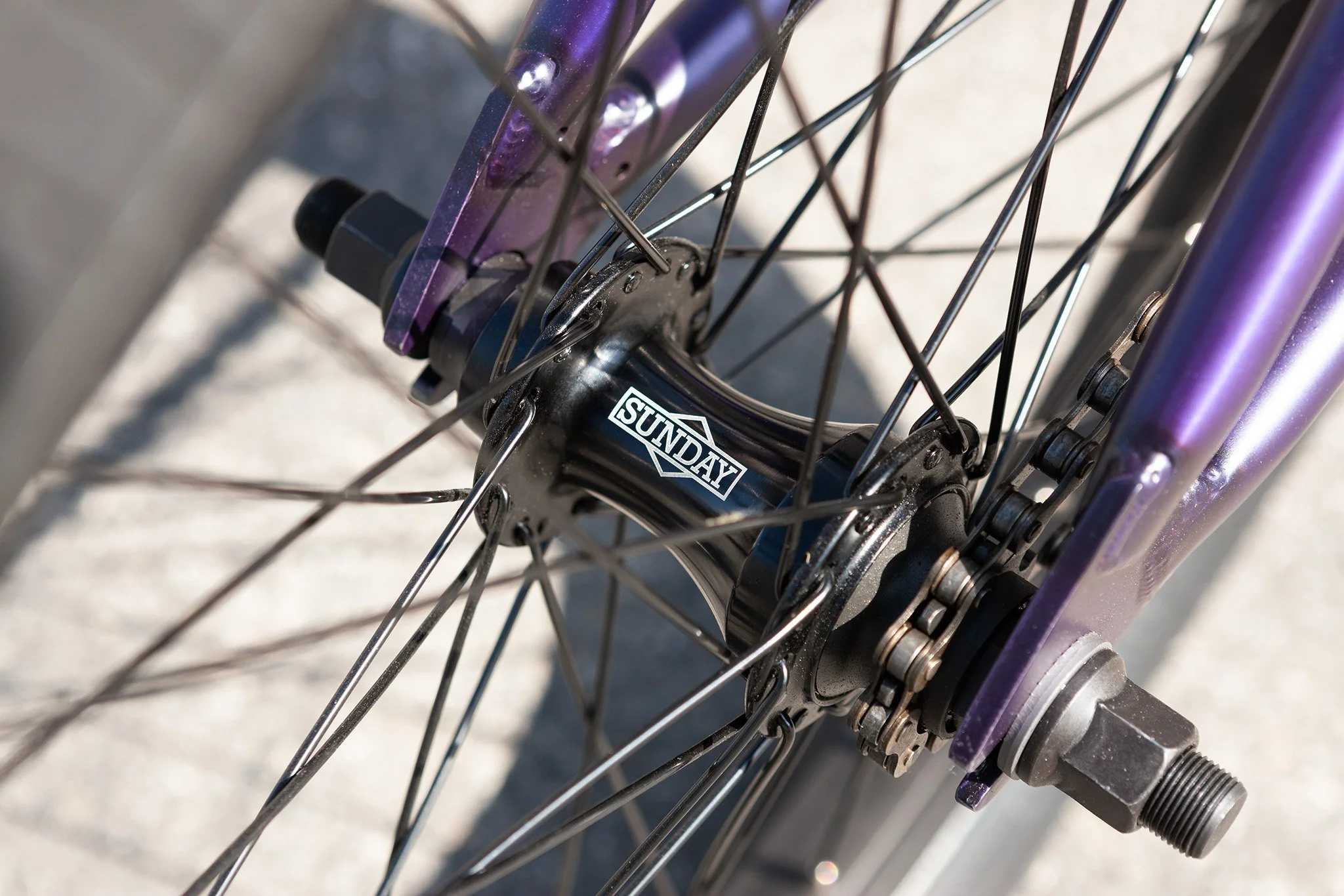Sunday Scout (Matte Trans Purple with 20.75" tt) - Image 11