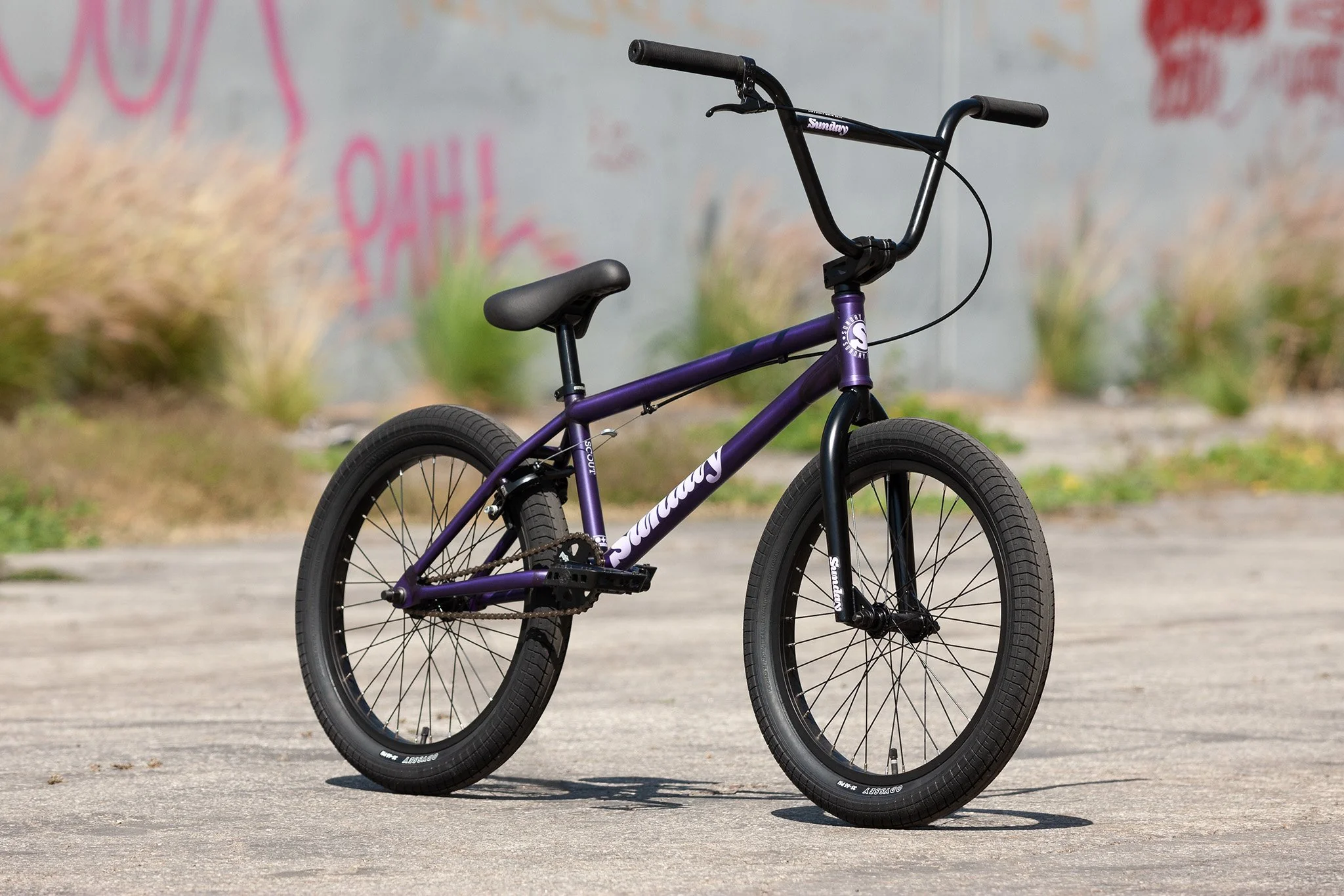 Sunday Scout (Matte Trans Purple with 20.75" tt) - Image 2