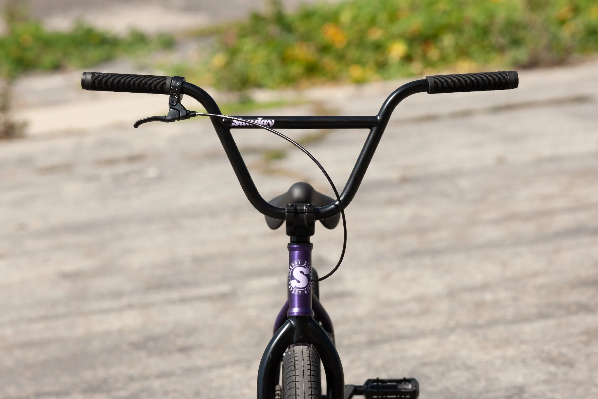 Sunday Scout (Matte Trans Purple with 20.75" tt) - Image 4