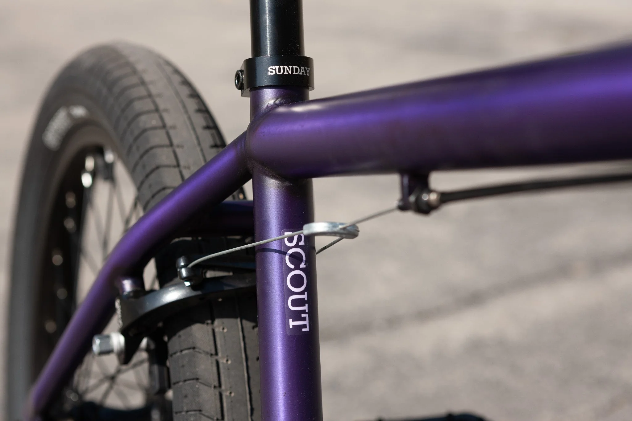Sunday Scout (Matte Trans Purple with 20.75" tt) - Image 9