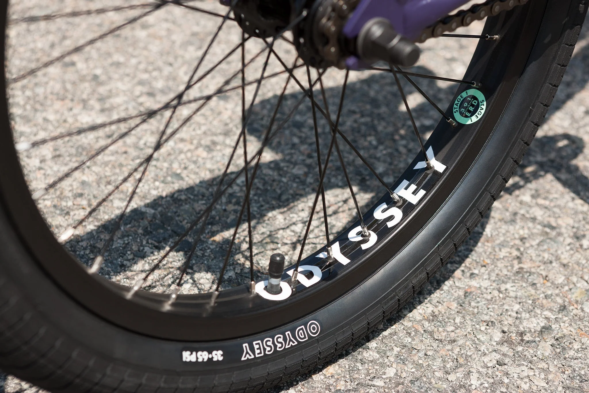 Sunday Forecaster Park - Maca Perez Grasset Signature (Matte Midnight Purple with 20.5" tt) - Image 10