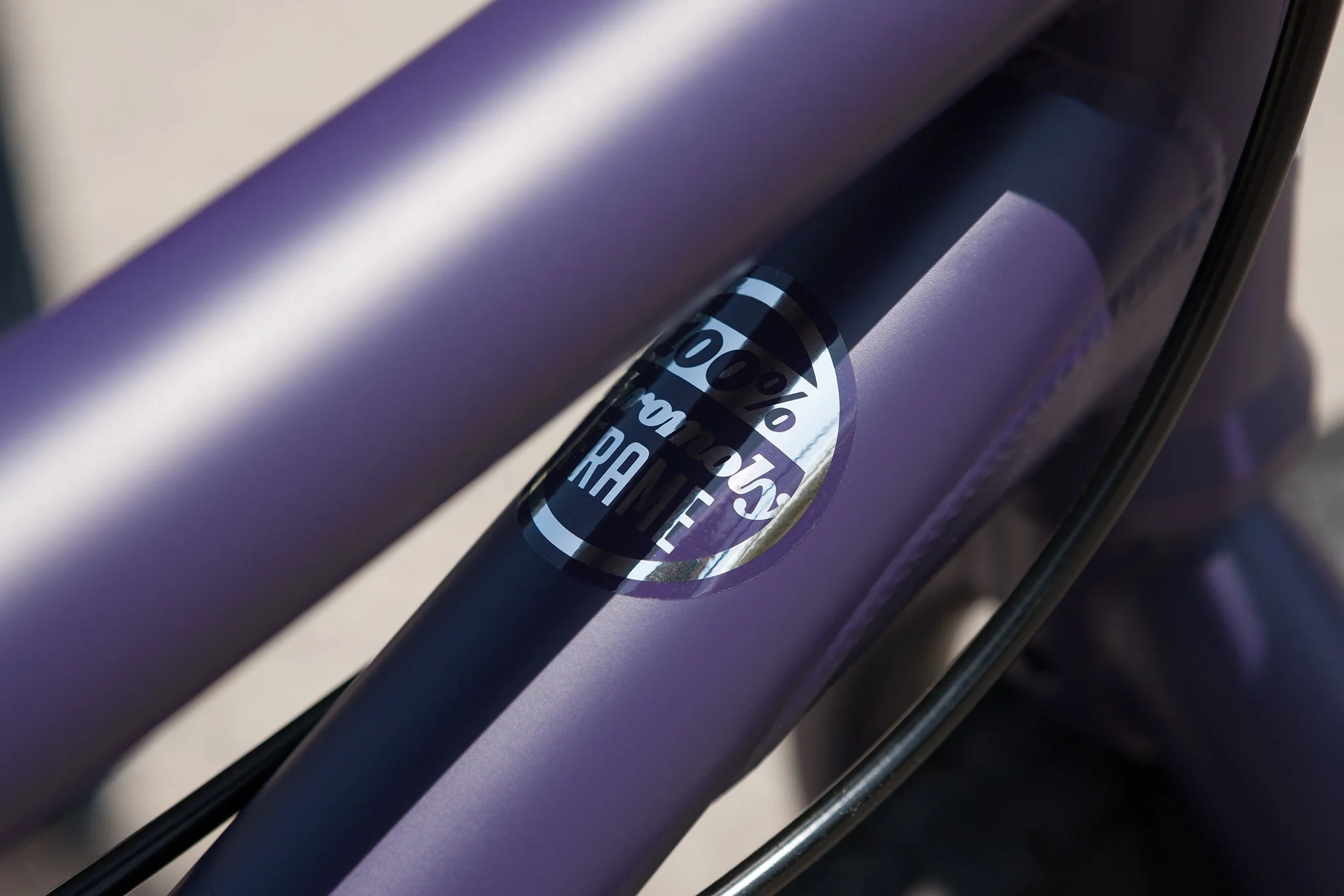 Sunday Forecaster Park - Maca Perez Grasset Signature (Matte Midnight Purple with 20.5" tt) - Image 11
