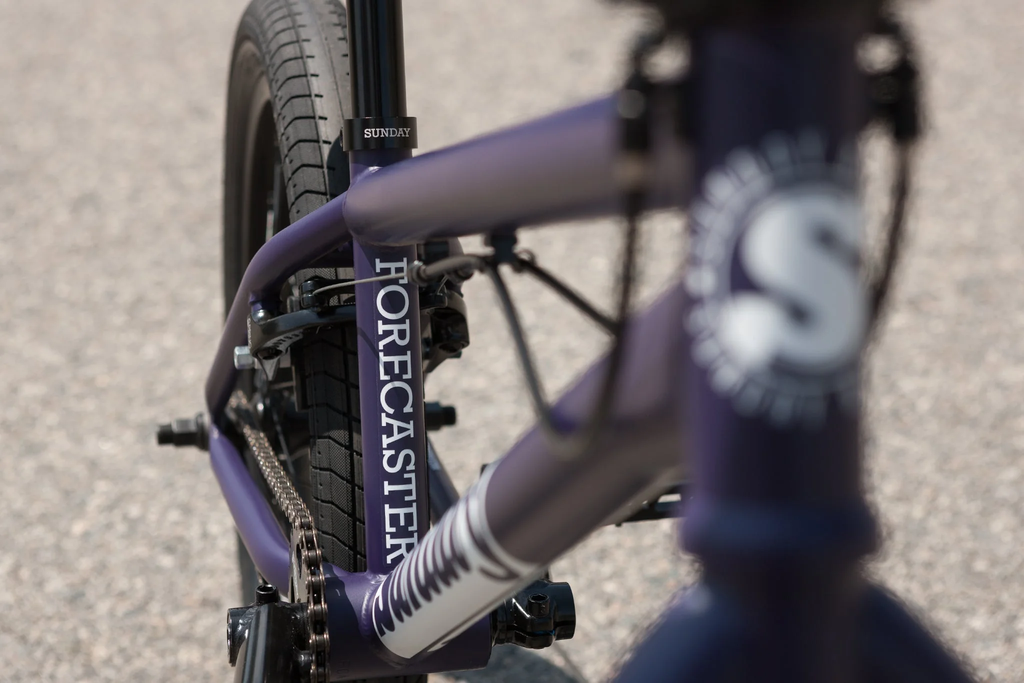 Sunday Forecaster Park - Maca Perez Grasset Signature (Matte Midnight Purple with 20.5" tt) - Image 13