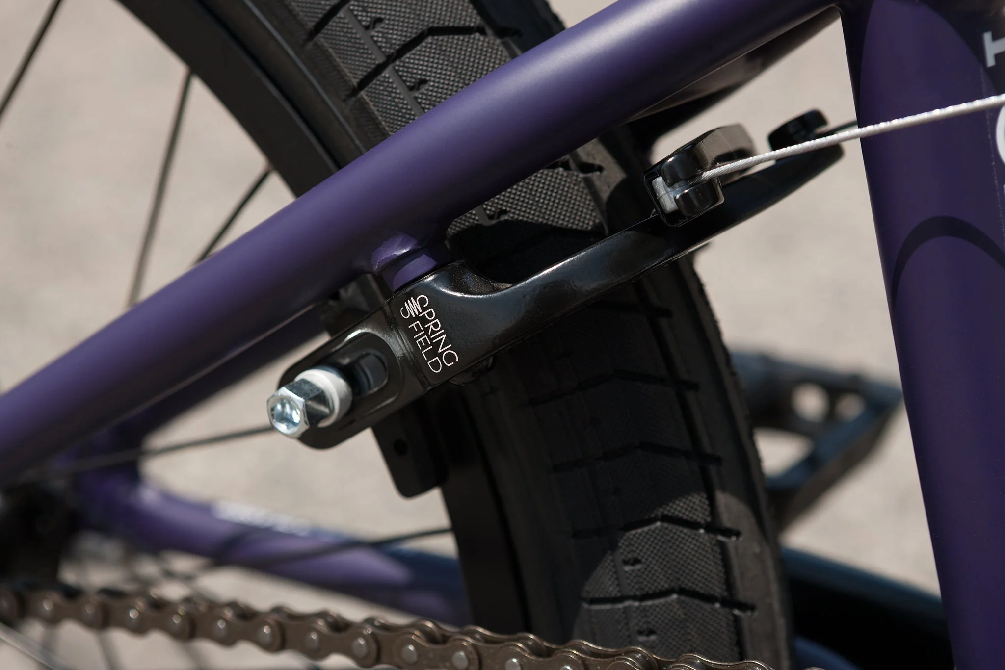 Sunday Forecaster Park - Maca Perez Grasset Signature (Matte Midnight Purple with 20.5" tt) - Image 16
