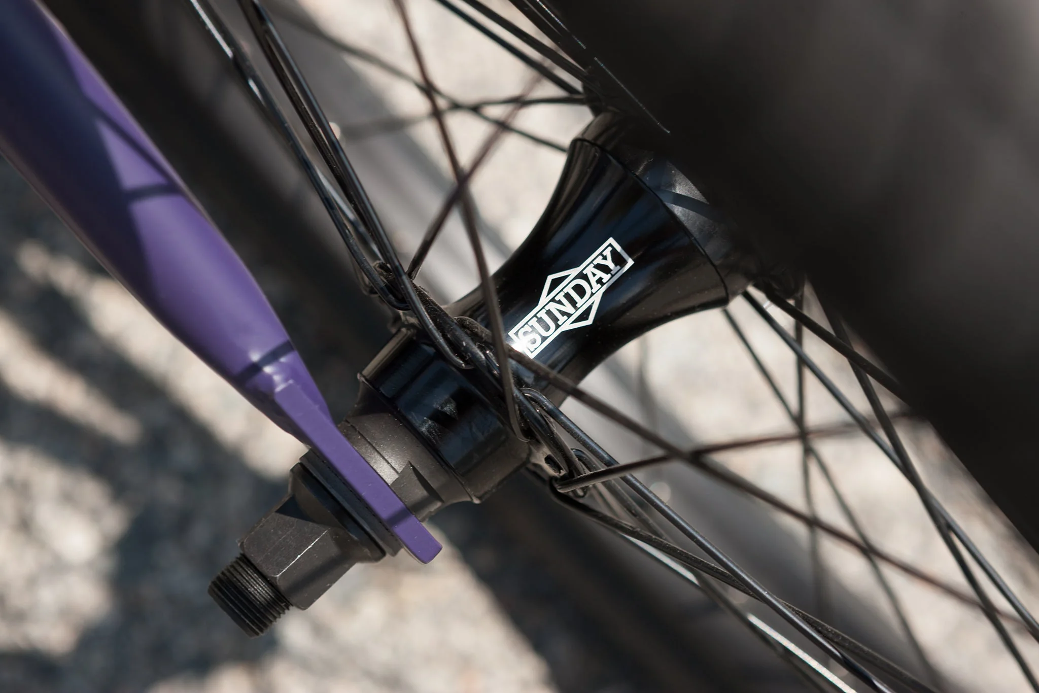 Sunday Forecaster Park - Maca Perez Grasset Signature (Matte Midnight Purple with 20.5" tt) - Image 17