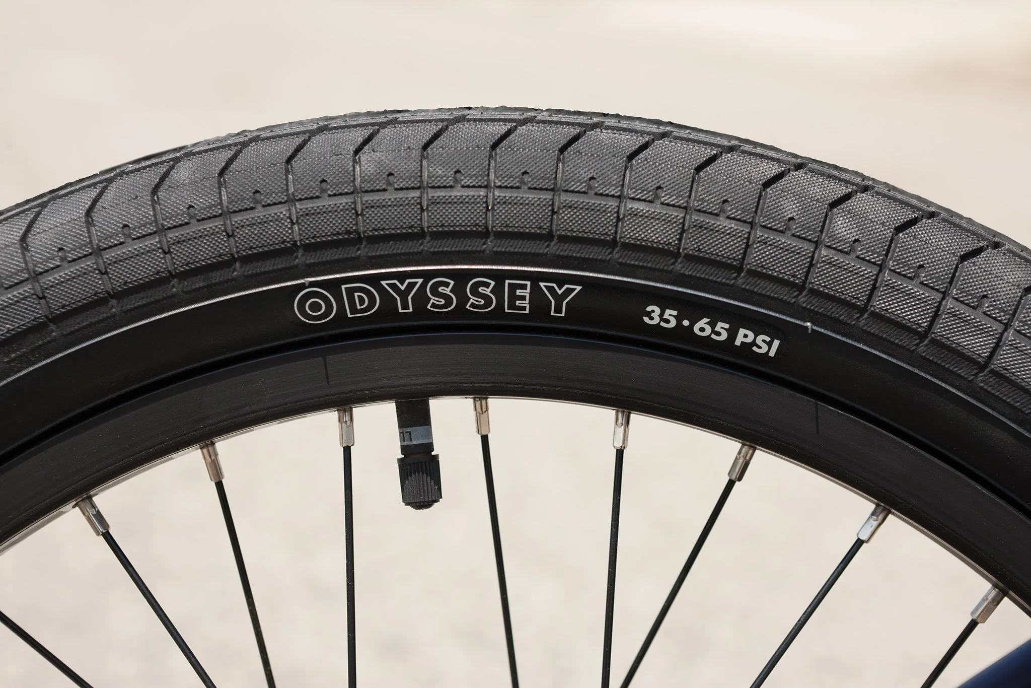Sunday Forecaster Park - Maca Perez Grasset Signature (Matte Midnight Purple with 20.5" tt) - Image 18