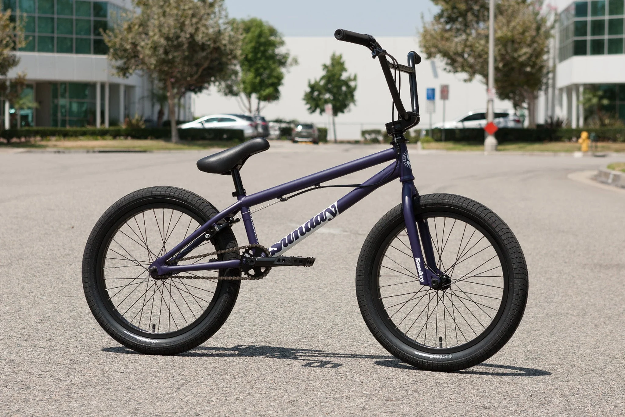 Sunday Forecaster Park - Maca Perez Grasset Signature (Matte Midnight Purple with 20.5" tt) - Image 20