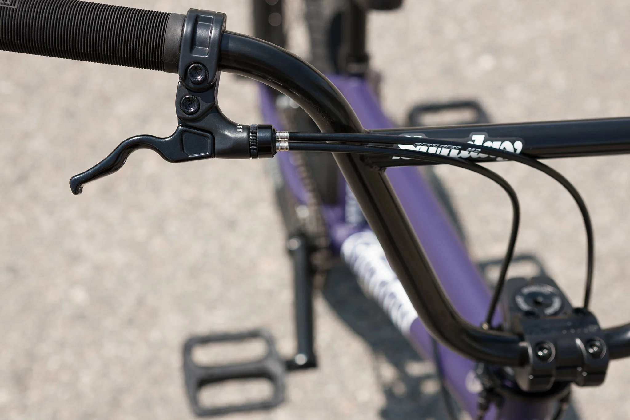 Sunday Forecaster Park - Maca Perez Grasset Signature (Matte Midnight Purple with 20.5" tt) - Image 5