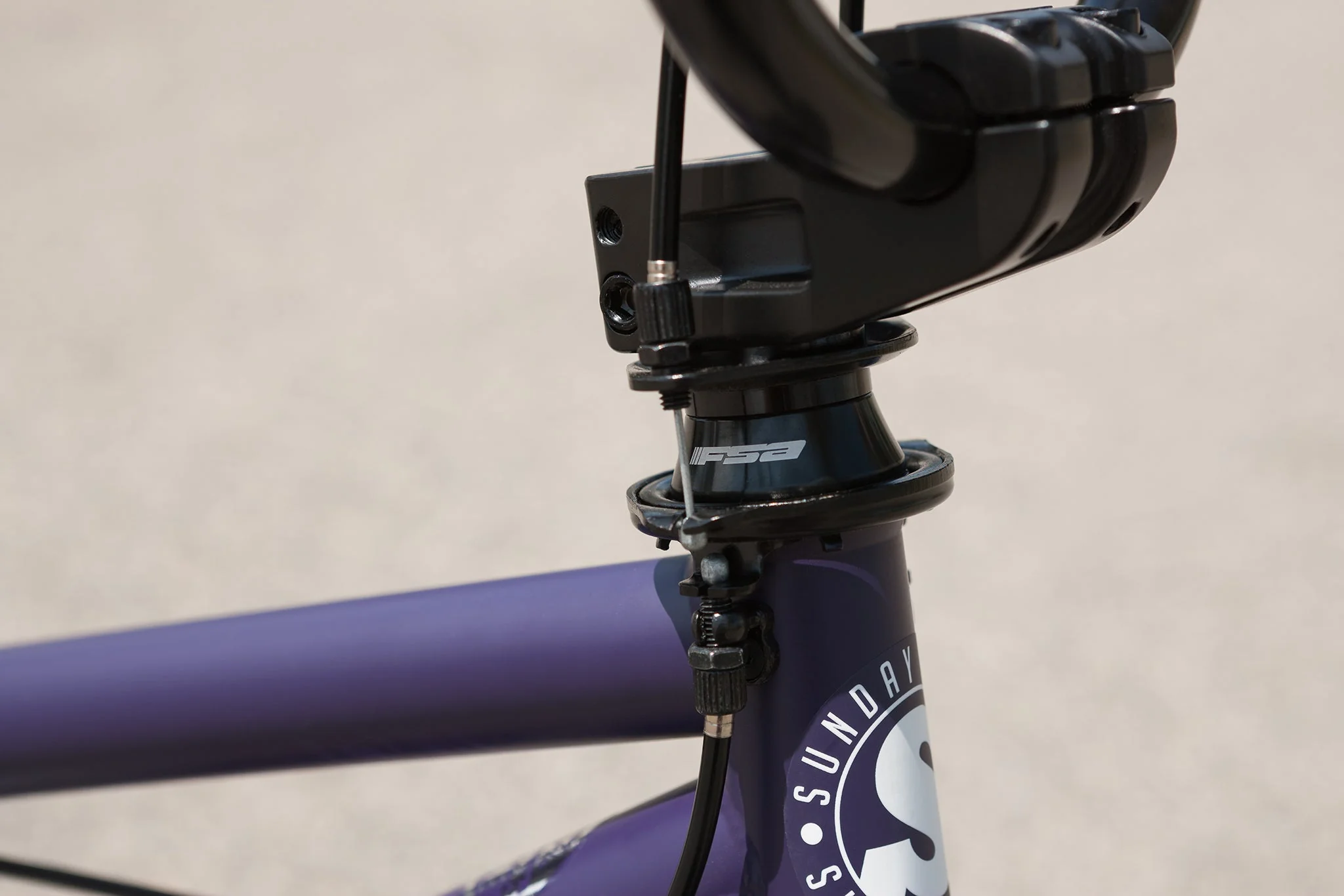 Sunday Forecaster Park - Maca Perez Grasset Signature (Matte Midnight Purple with 20.5" tt) - Image 9