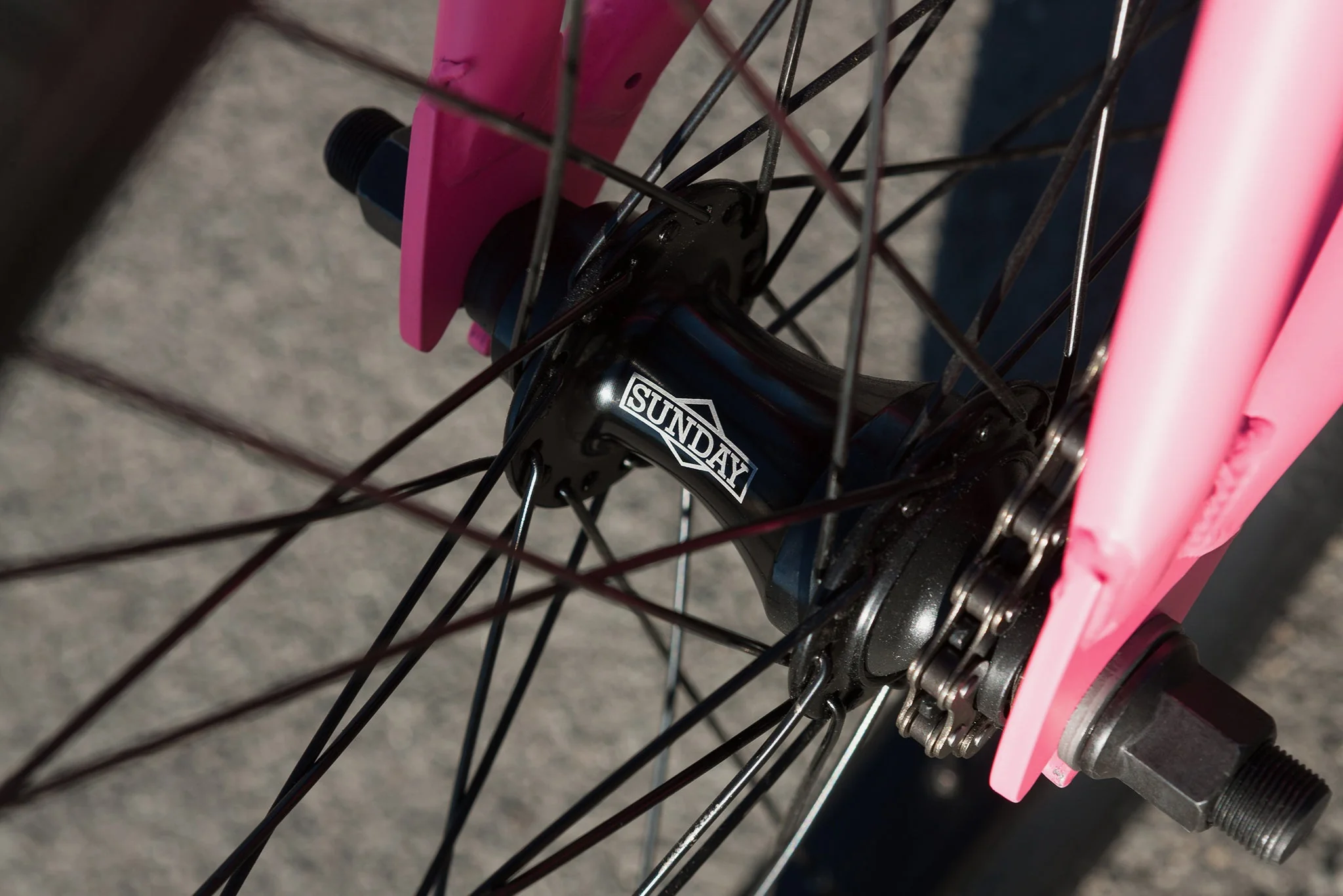 Sunday Scout (Matte Hot Pink with 20.75" tt) - Image 14