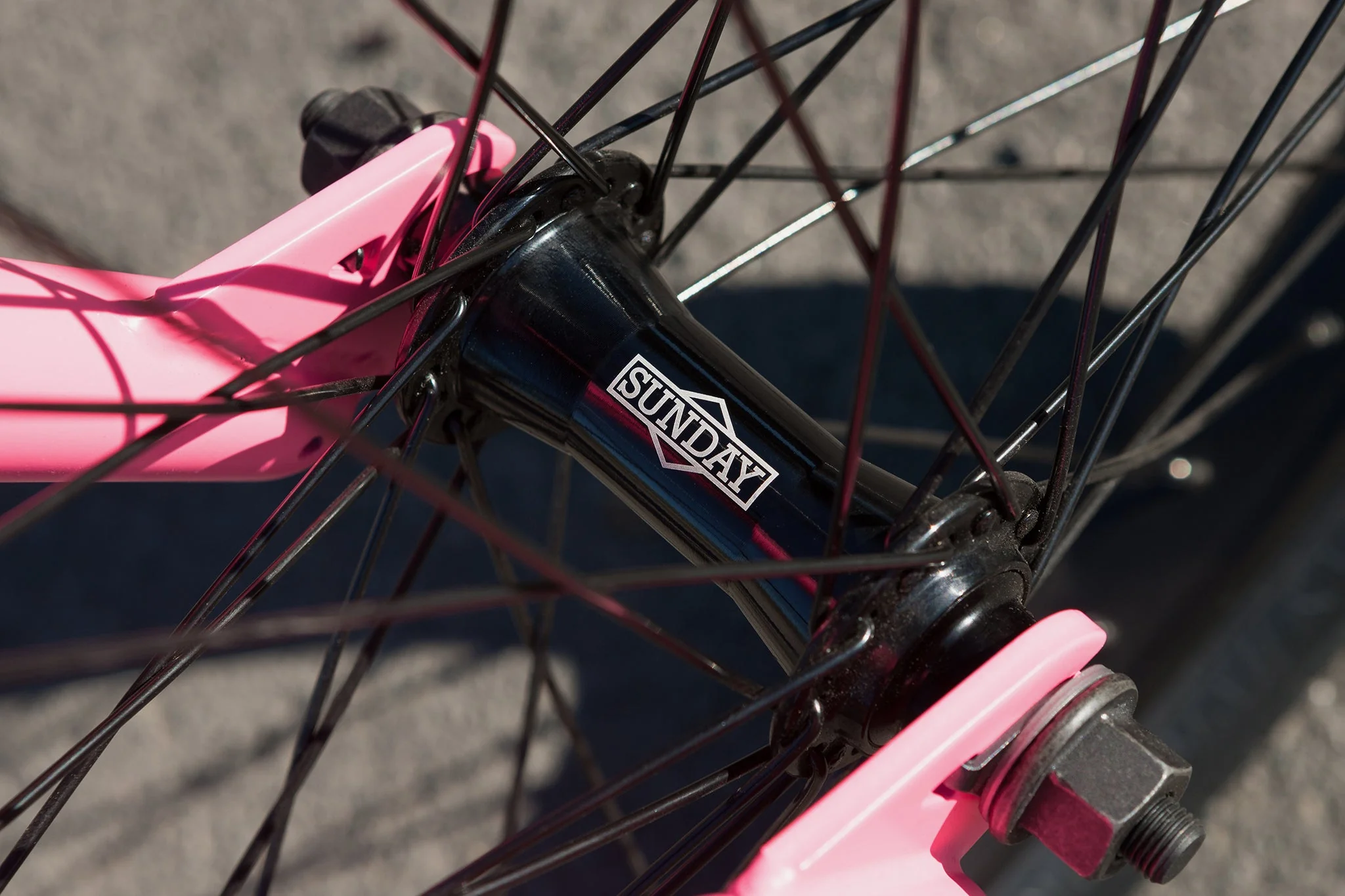 Sunday Scout (Matte Hot Pink with 20.75" tt) - Image 8