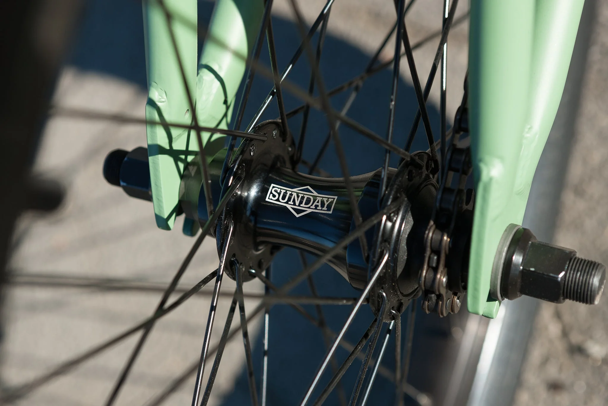 Sunday Scout (Matte Sage Green with 20.75" tt) - Image 15