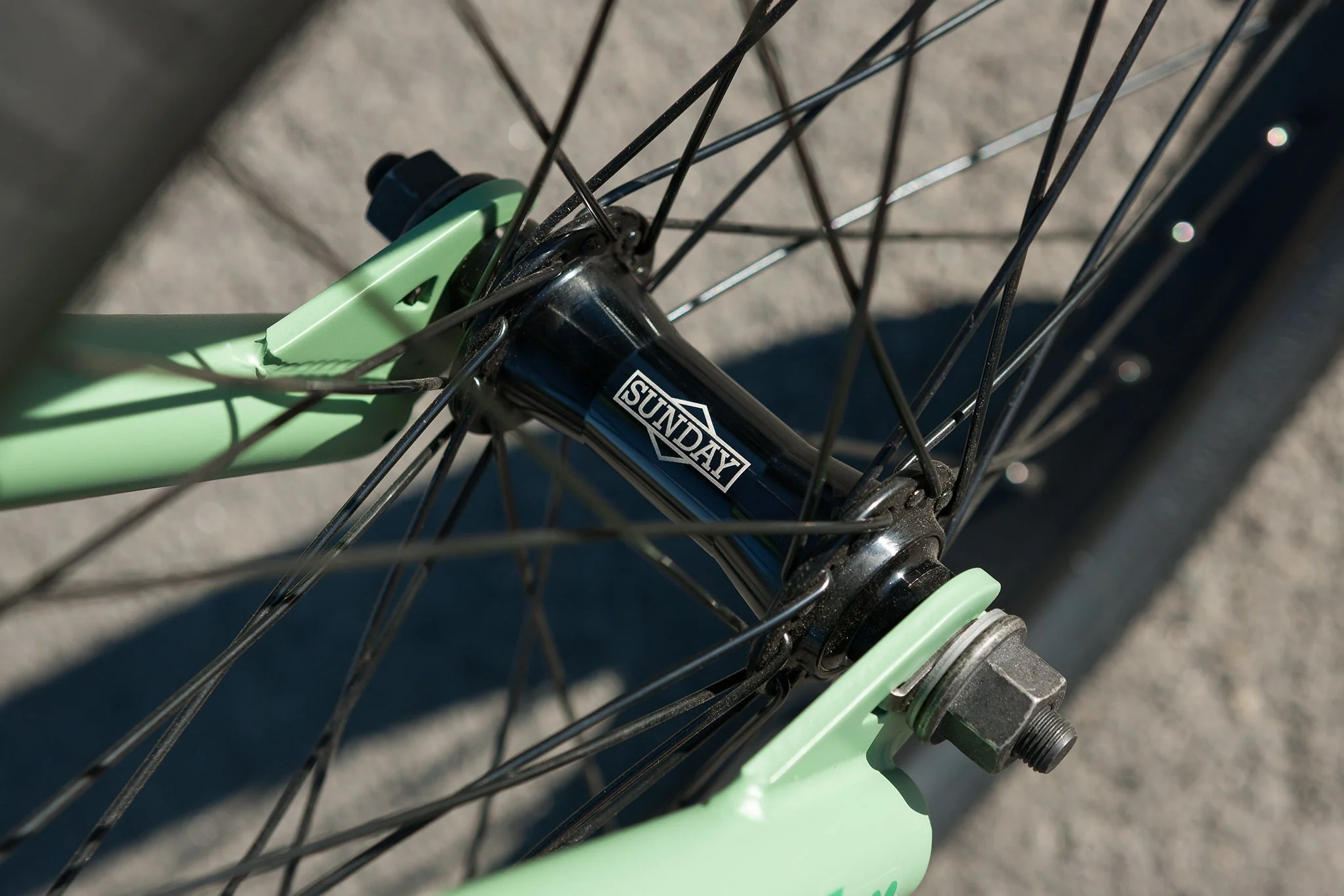 Sunday Scout (Matte Sage Green with 20.75" tt) - Image 9