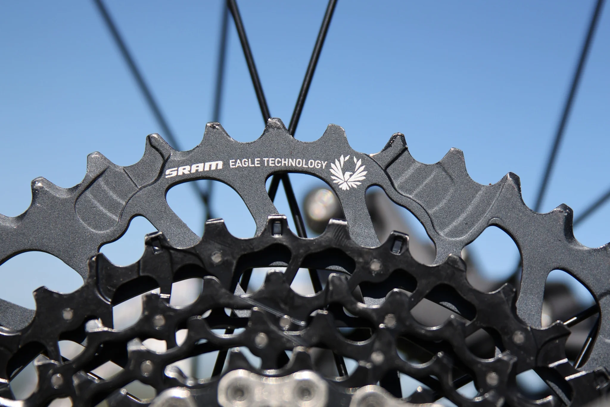 Fairdale Elevator 29" Hardtail MTB (Gloss Battleship Gray in M or L) - Image 11