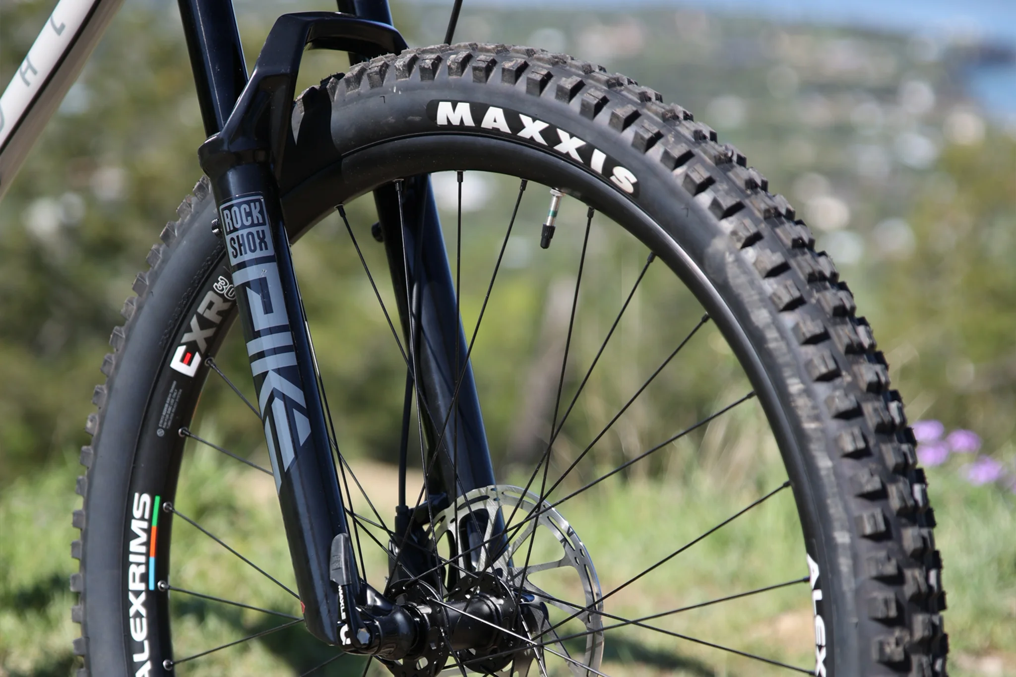 Fairdale Elevator 29" Hardtail MTB (Gloss Battleship Gray in M or L) - Image 6