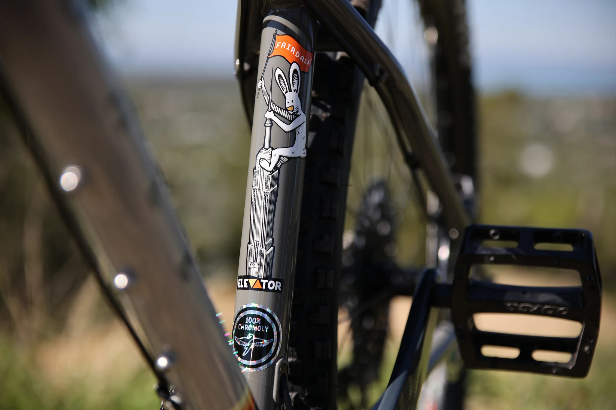 Fairdale Elevator 29" Hardtail MTB (Gloss Battleship Gray in M or L) - Image 7