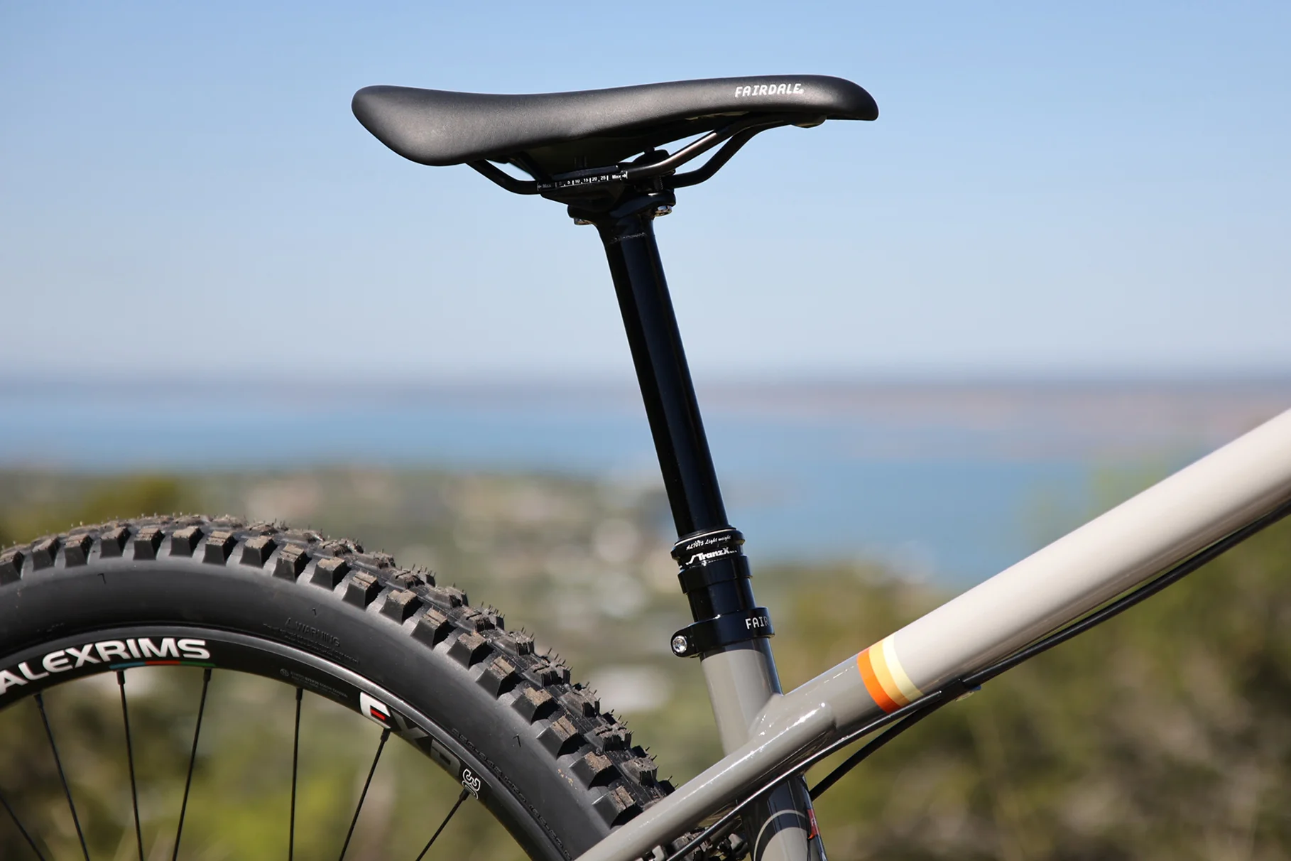 Fairdale Elevator 29" Hardtail MTB (Gloss Battleship Gray in M or L) - Image 8