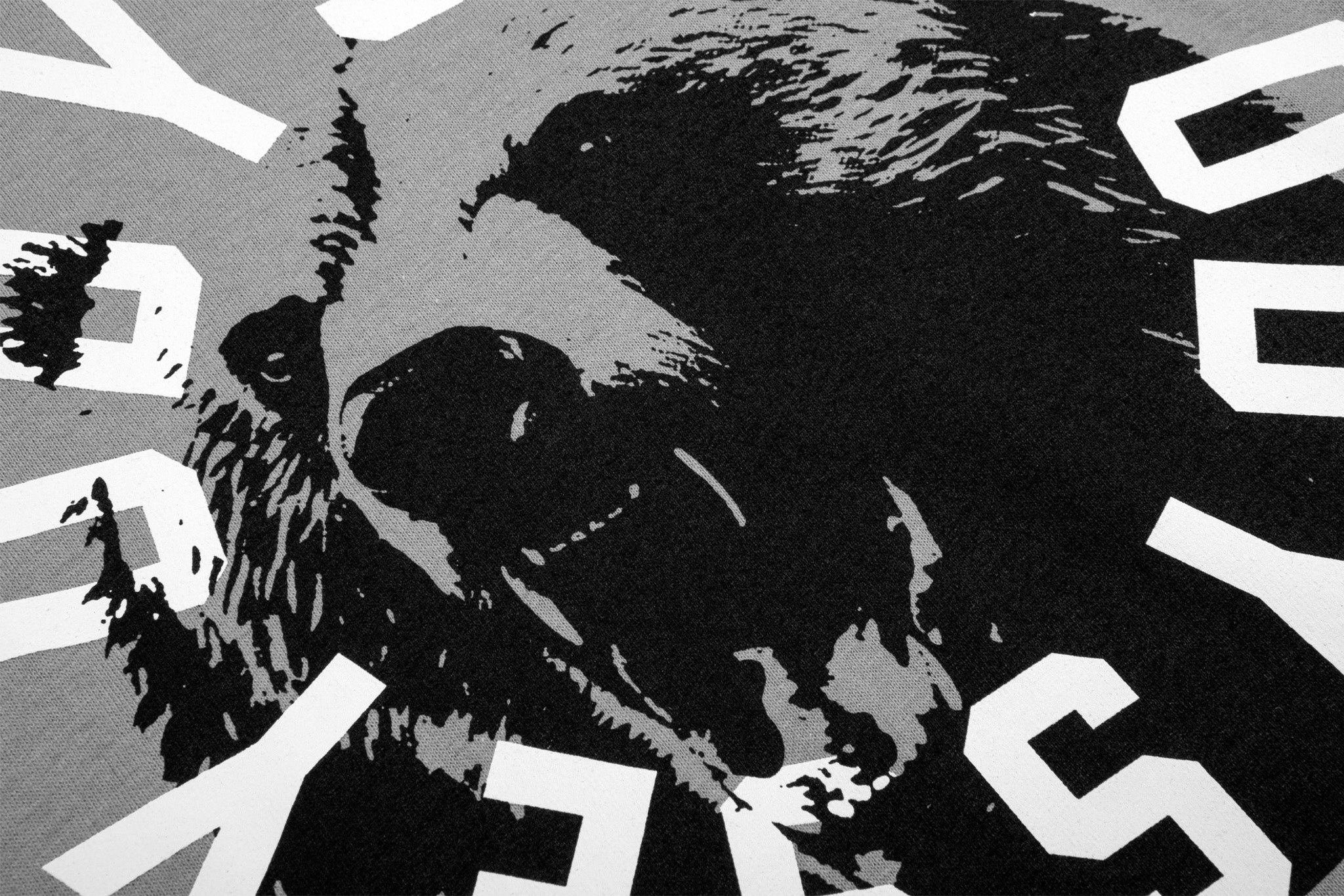 Odyssey Bear Central Tee (Gravel Gray w/ White + Black Ink) - Image 3