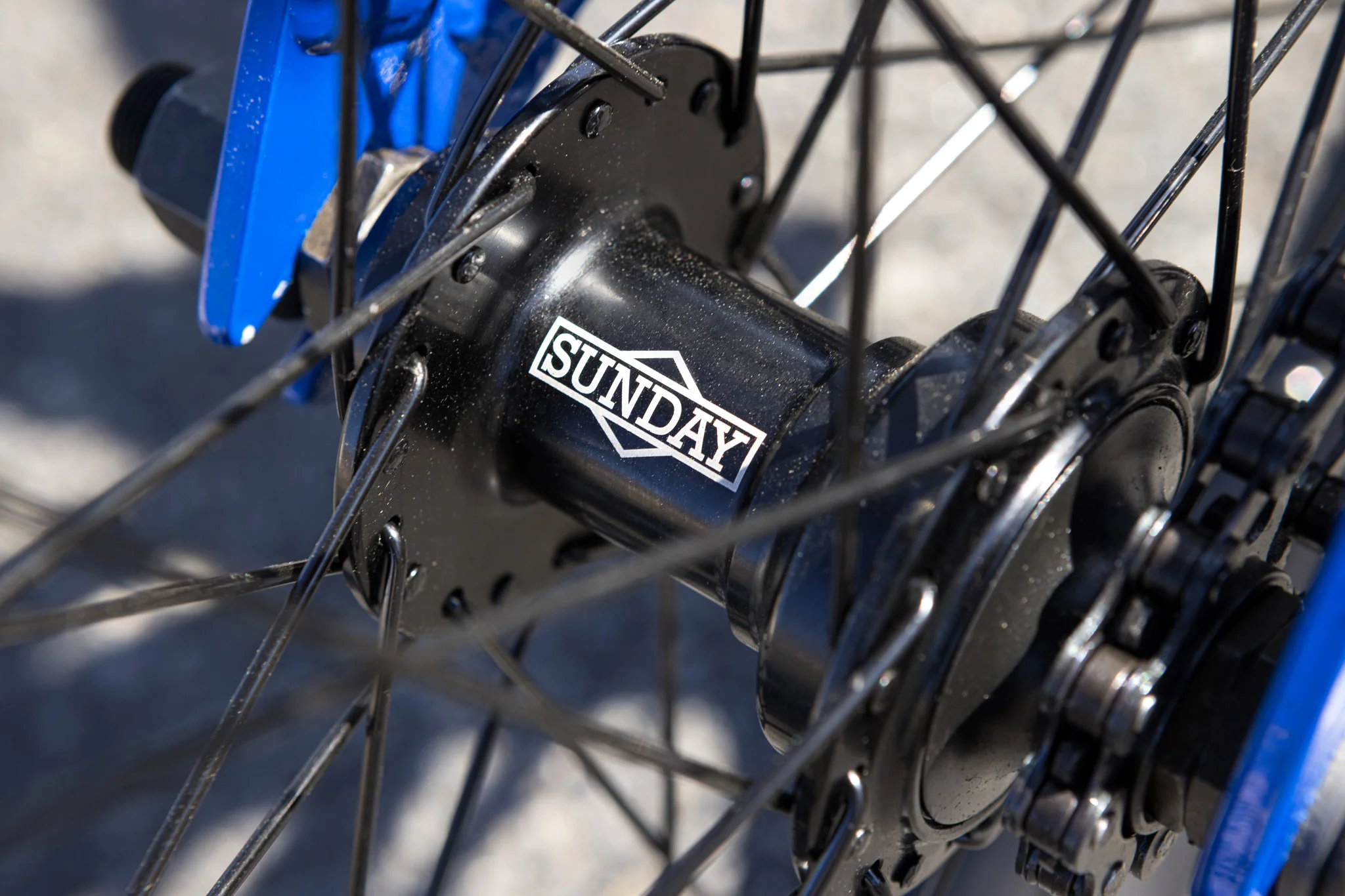 Sunday Blueprint (Gloss Sunday Blue 20" tt) - Image 14