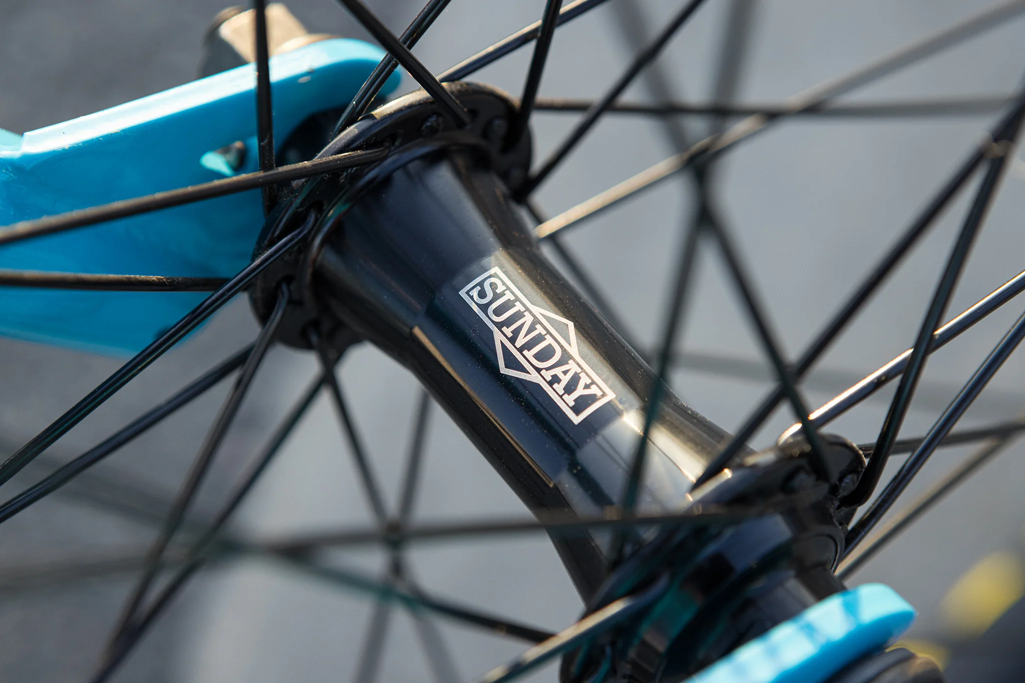 Sunday High C 29" (Gloss Surf Blue with 23.5" tt) - Image 11