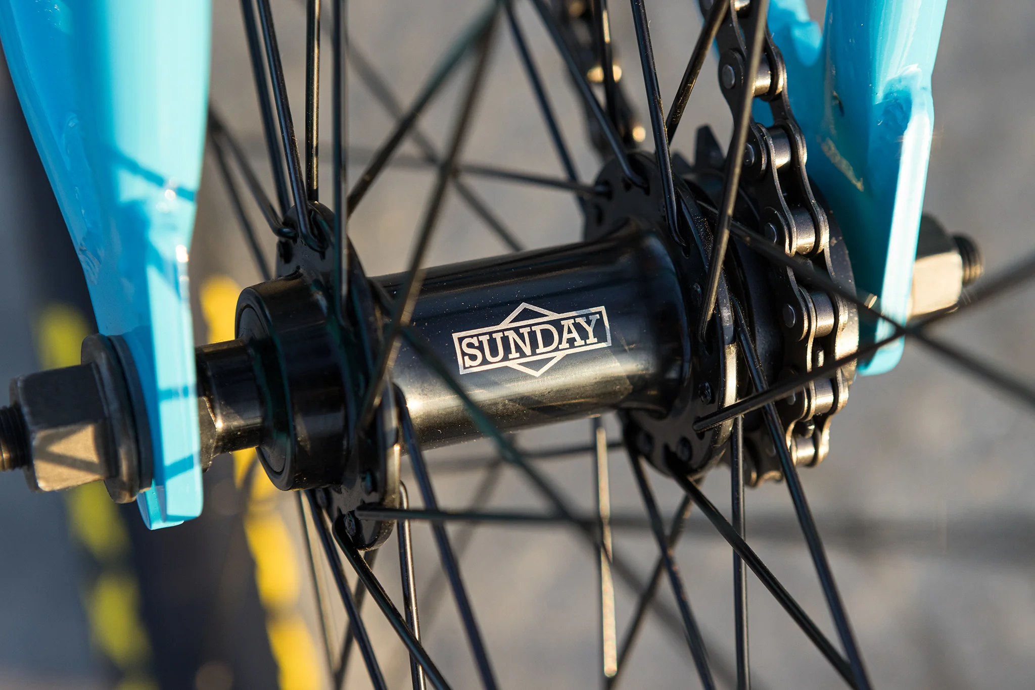 Sunday High C 29" (Gloss Surf Blue with 23.5" tt) - Image 17