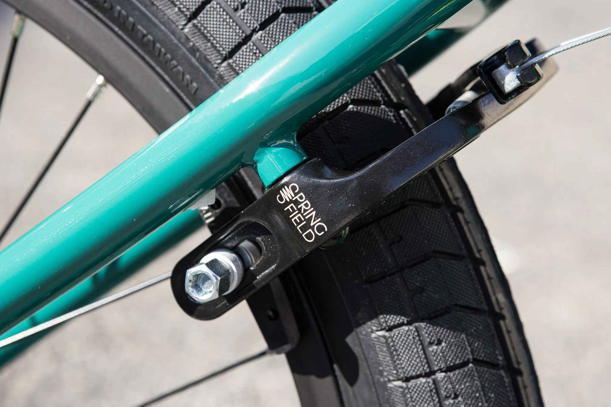 Sunday Scout (Gloss Pine Green with 20.75" tt) - Image 10