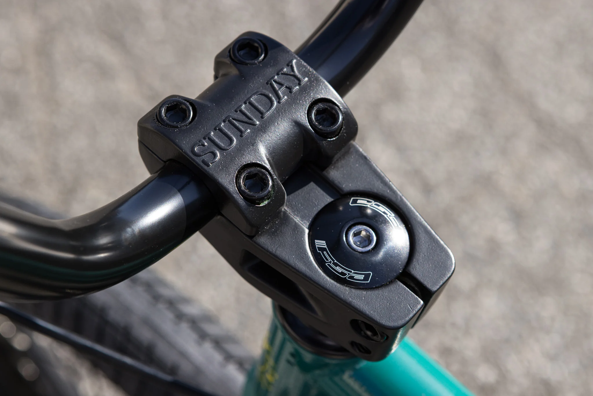 Sunday Scout (Gloss Pine Green with 20.75" tt) - Image 11