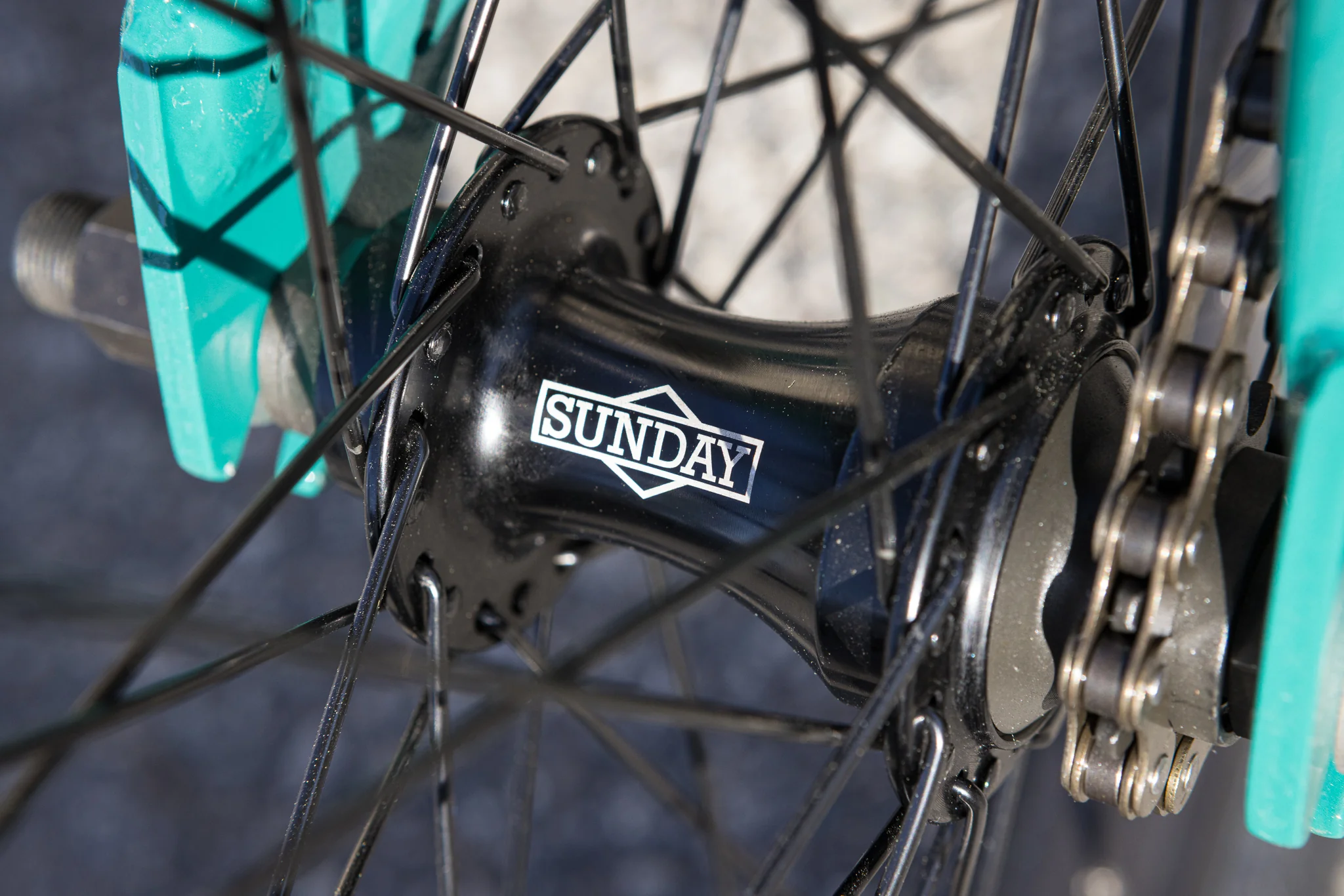 Sunday Scout (Gloss Pine Green with 20.75" tt) - Image 14