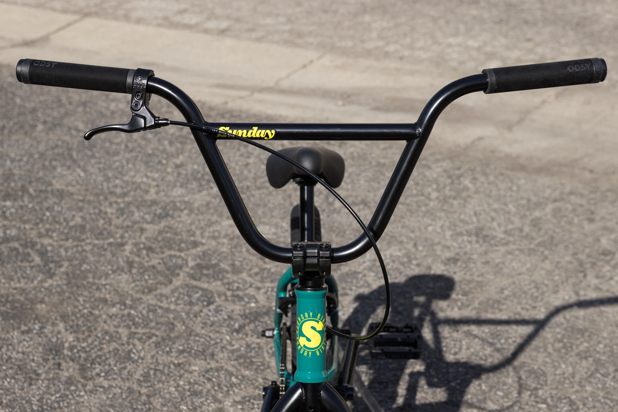 Sunday Scout (Gloss Pine Green with 20.75" tt) - Image 3