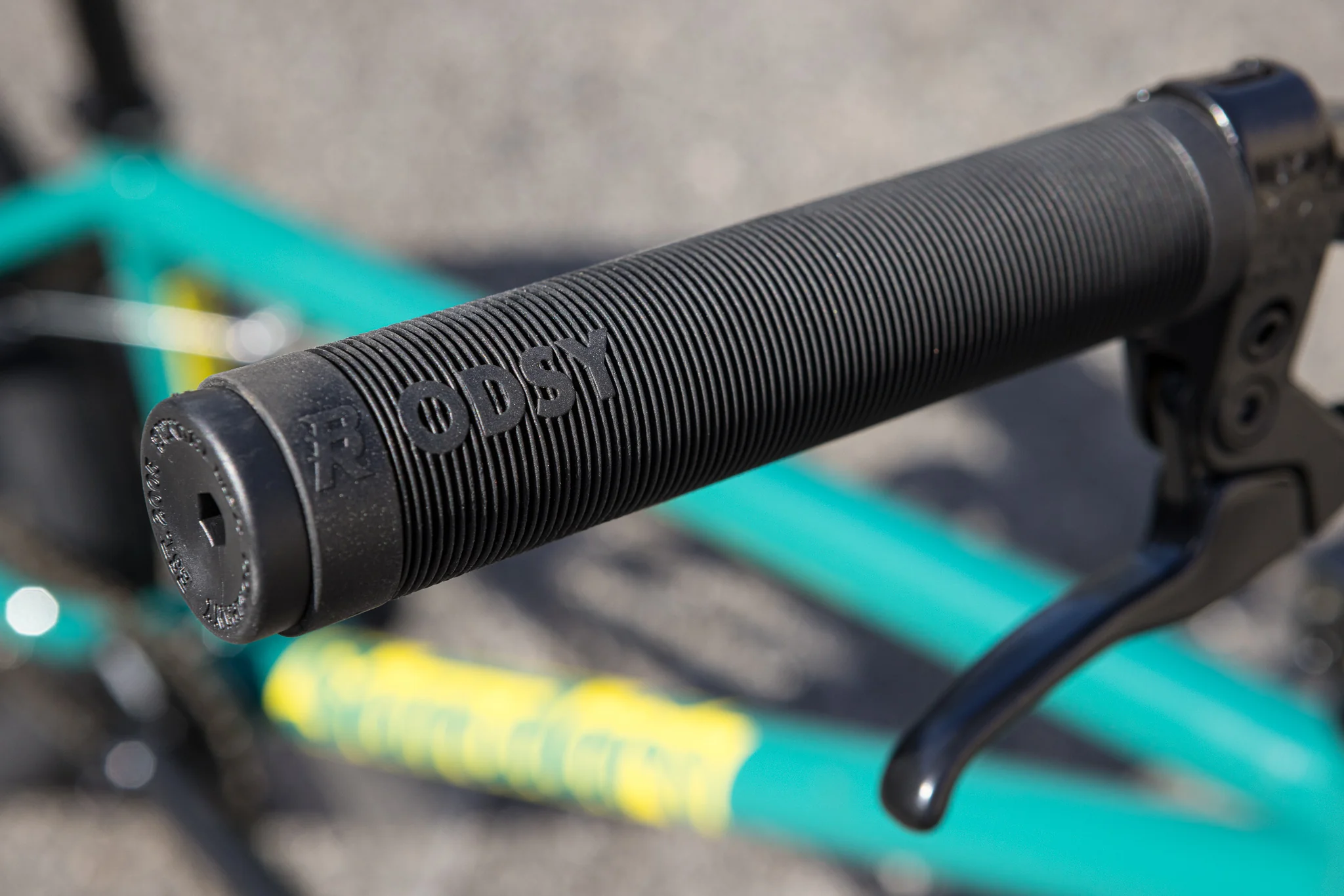 Sunday Scout (Gloss Pine Green with 20.75" tt) - Image 4