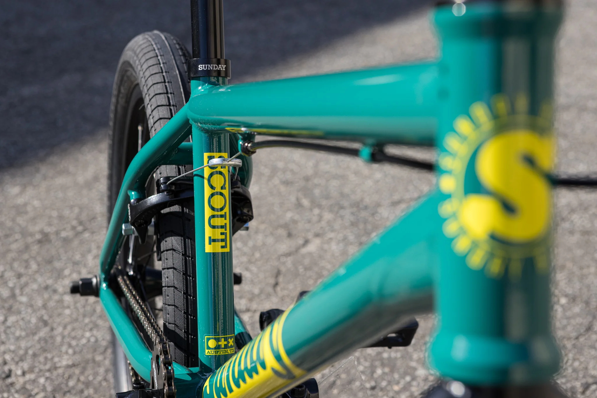 Sunday Scout (Gloss Pine Green with 20.75" tt) - Image 6